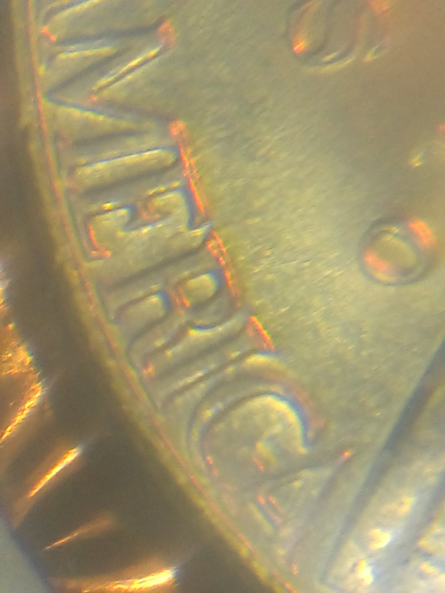 IMAG0100.jpg