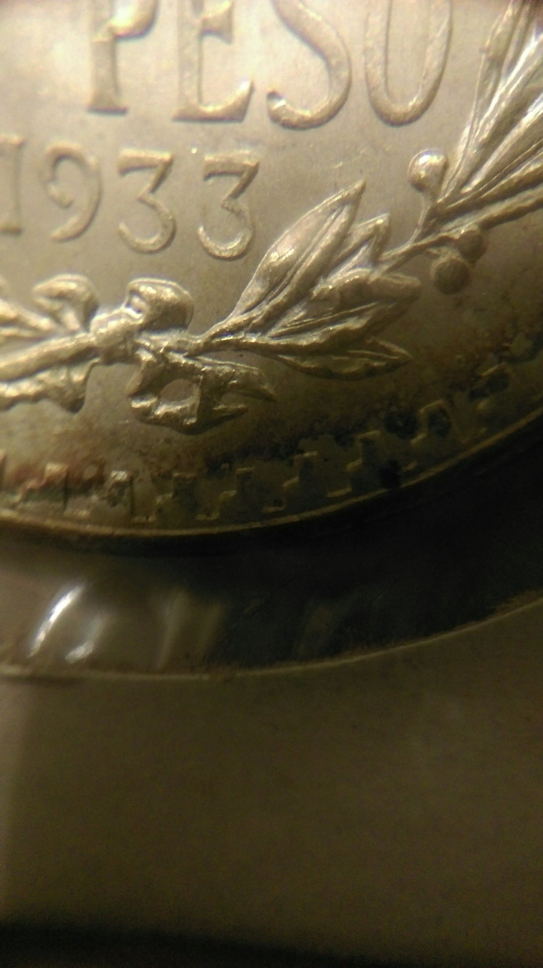 IMAG0113.jpg