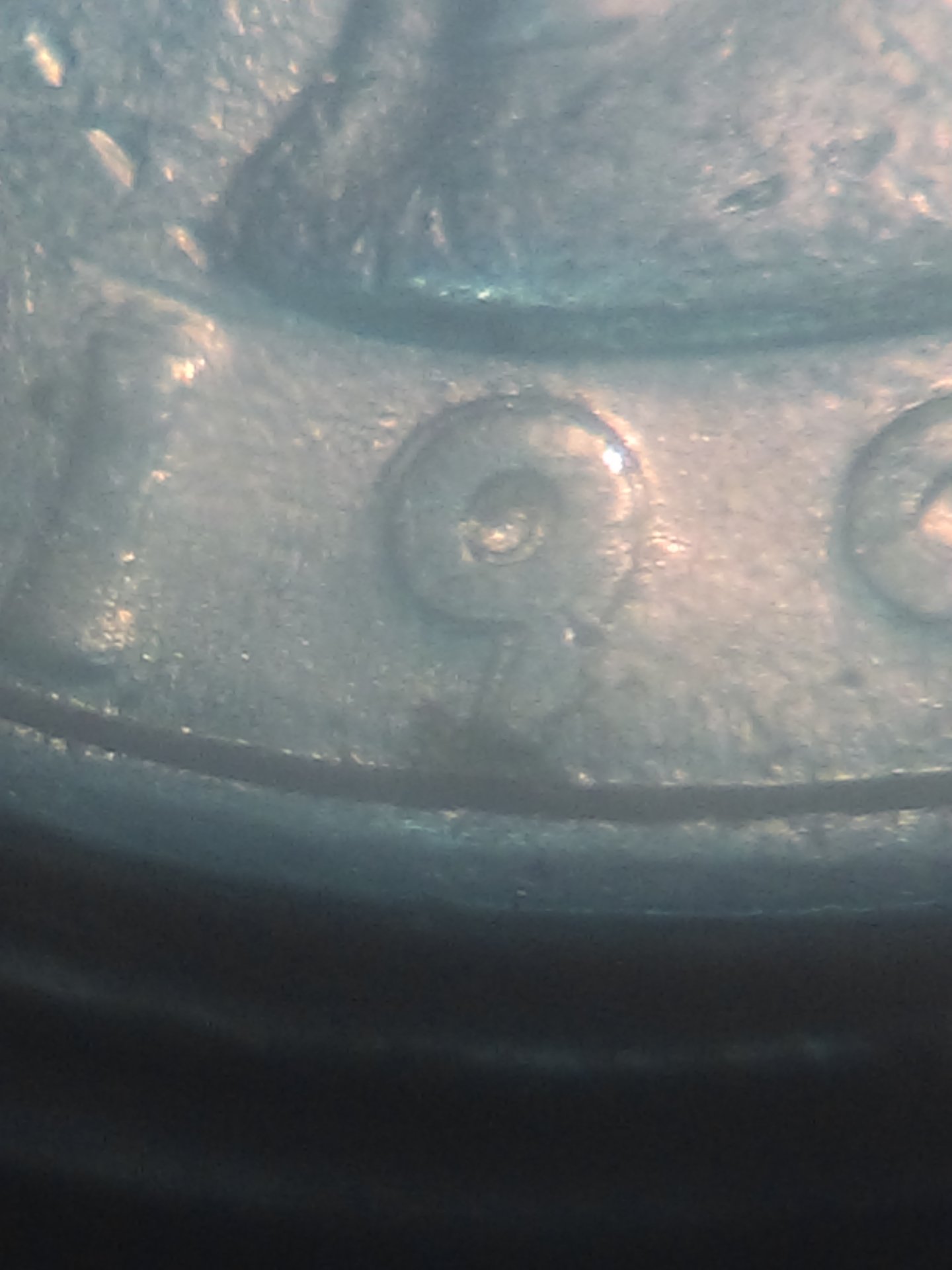 IMAG0120.jpg