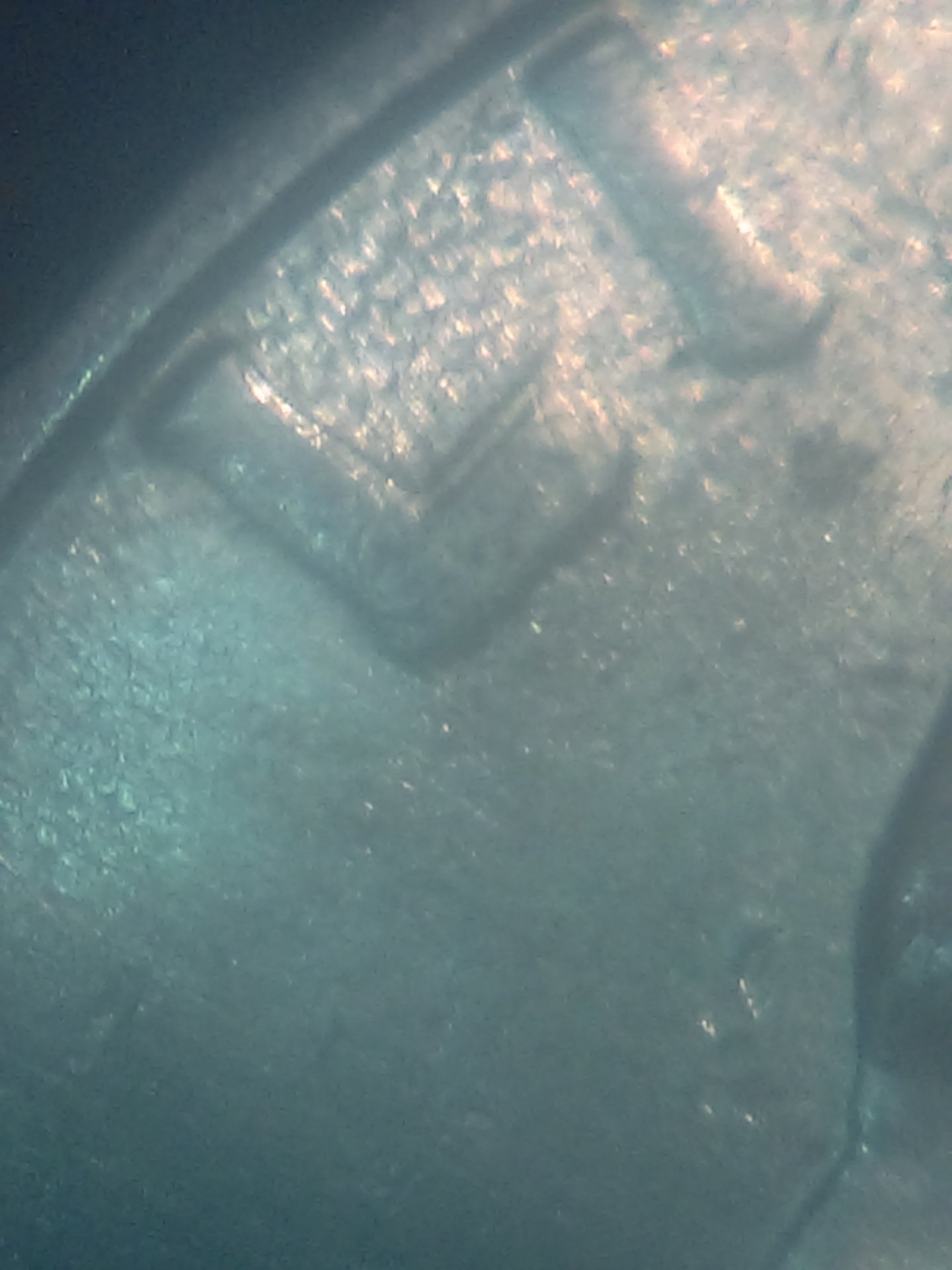 IMAG0121.jpg
