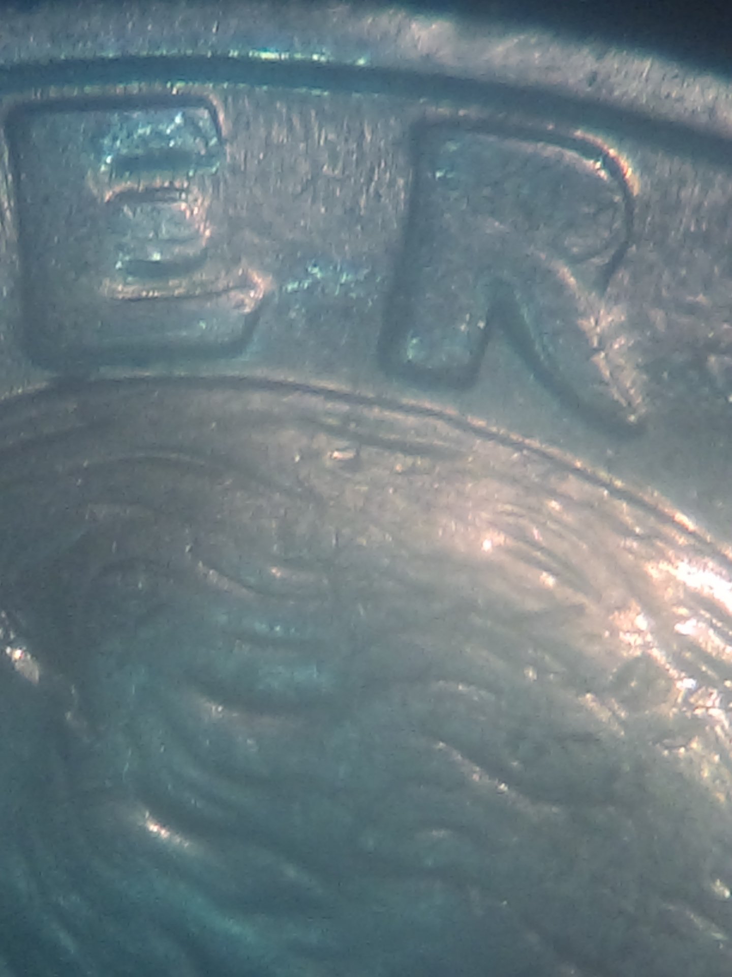 IMAG0122.jpg