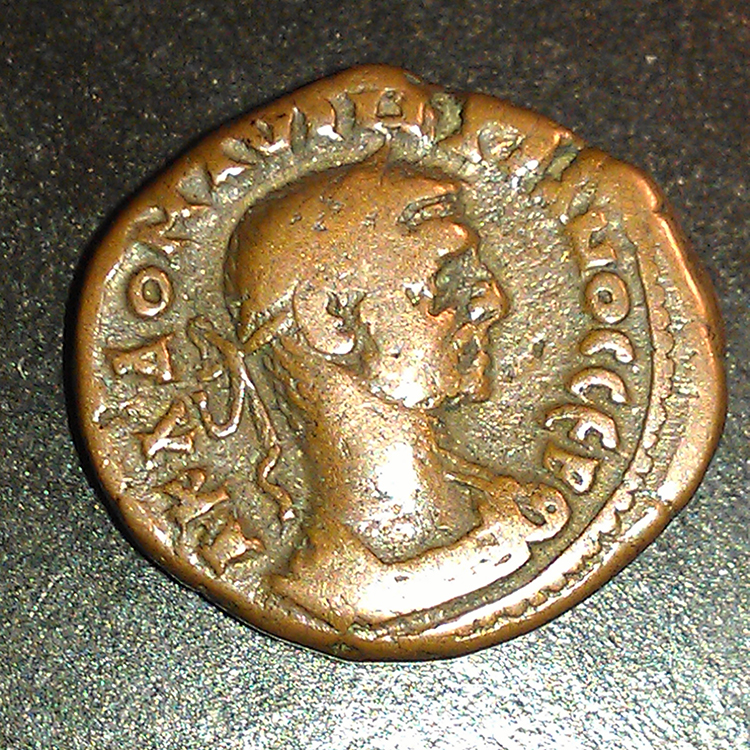 IMAG0174.jpg