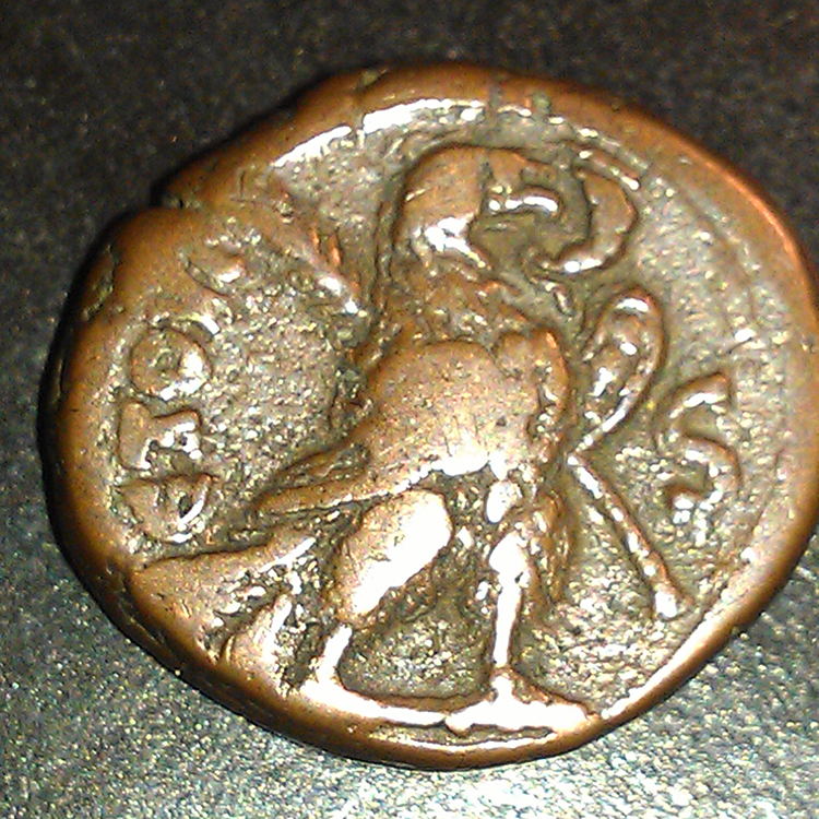IMAG0175.jpg