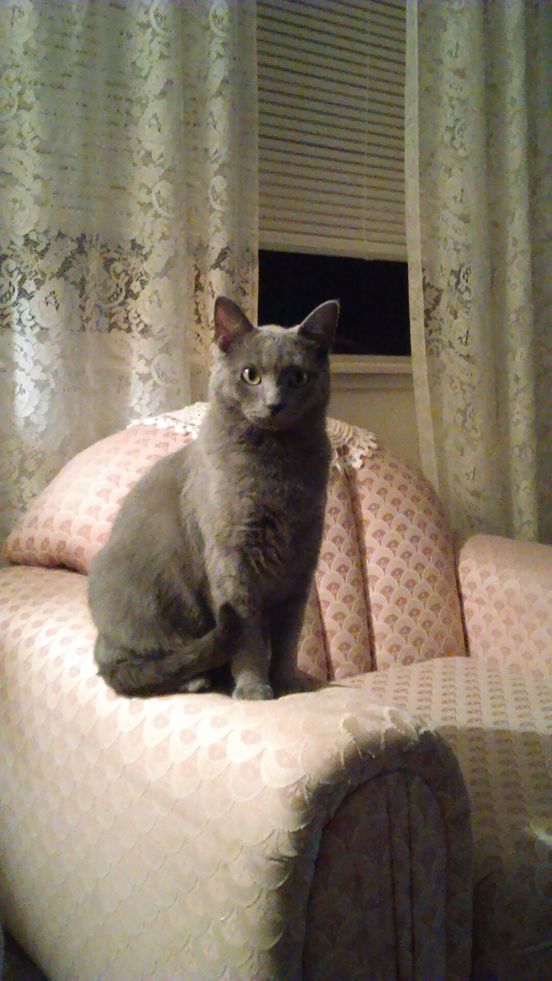 IMAG0184.jpg