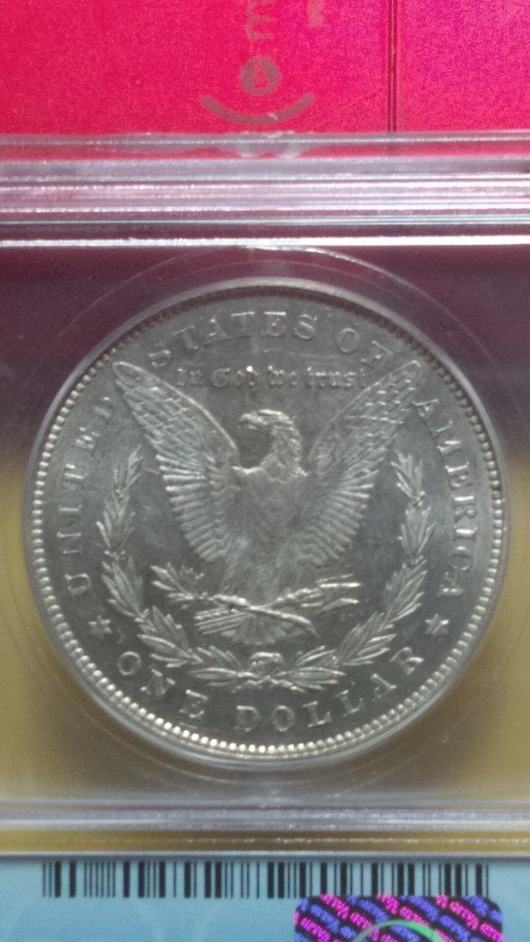 IMAG0195.jpg
