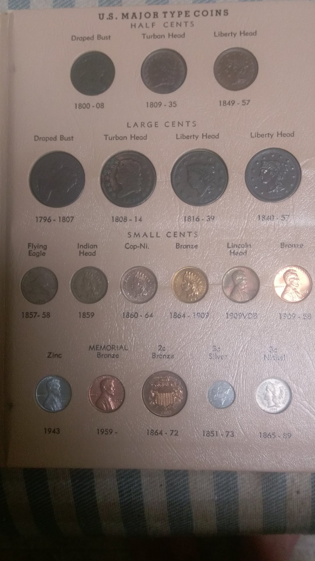 IMAG0202.jpg