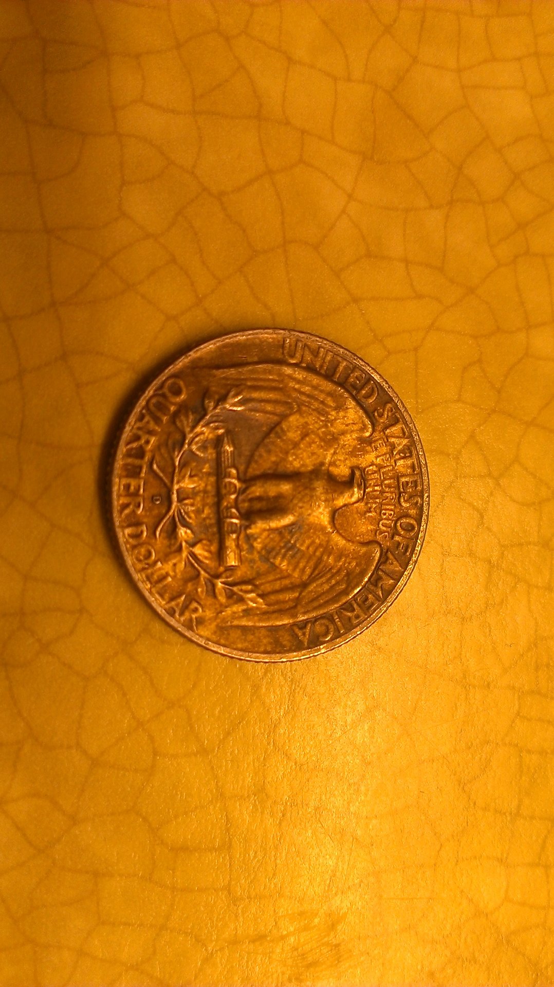 IMAG0215.jpg