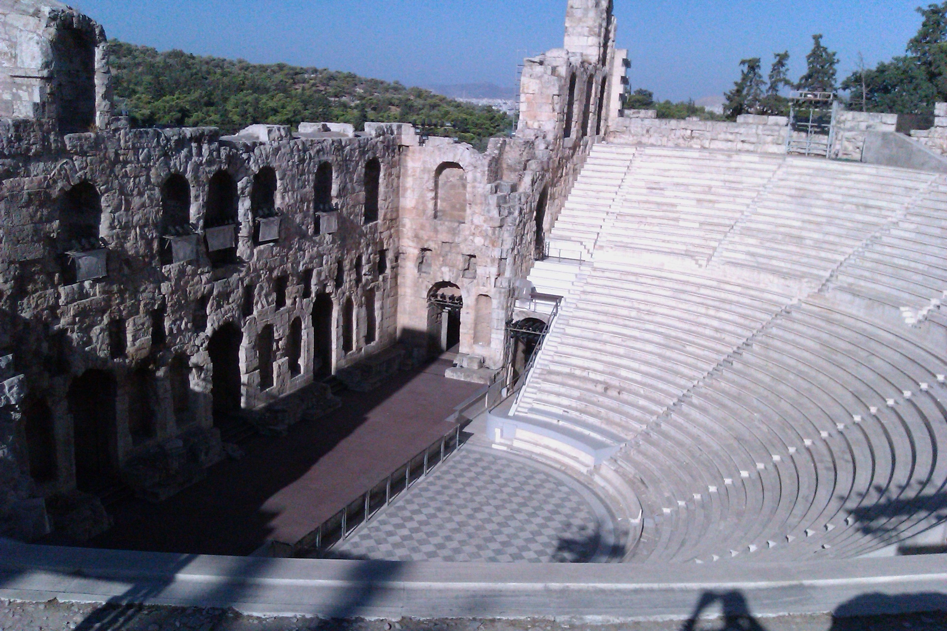 IMAG0221.jpg