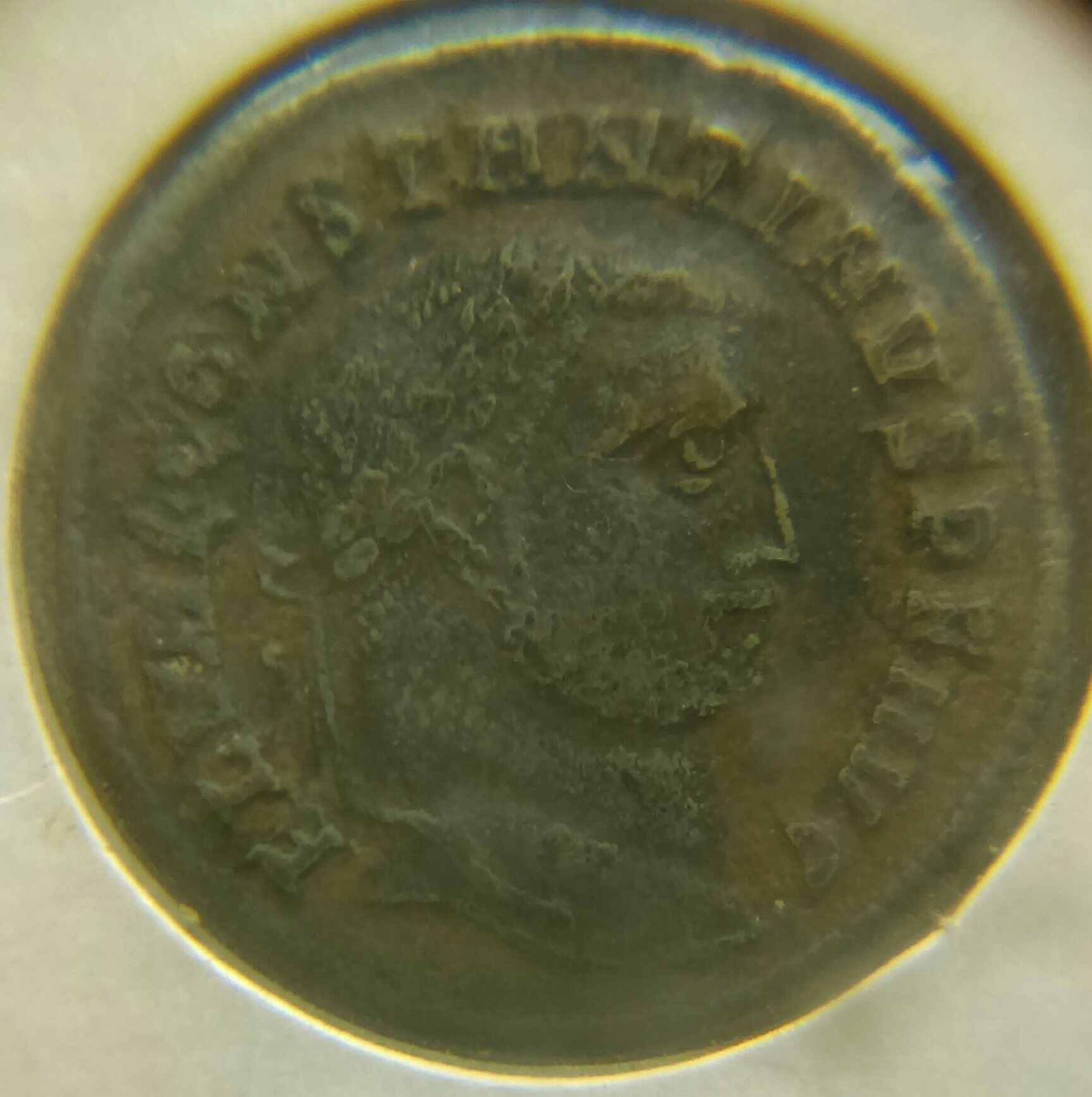 IMAG0303_1.jpg
