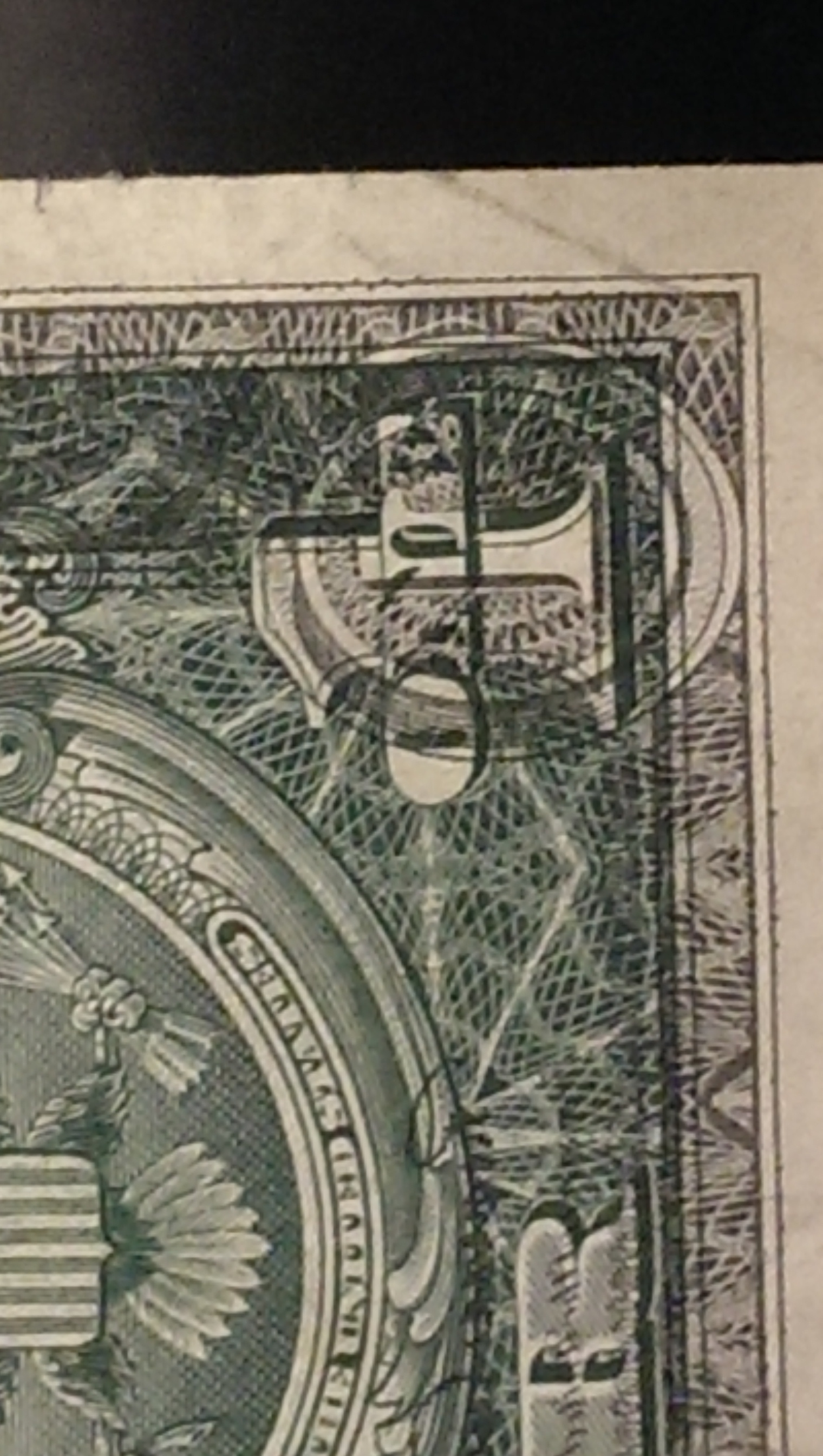 IMAG0311.jpg