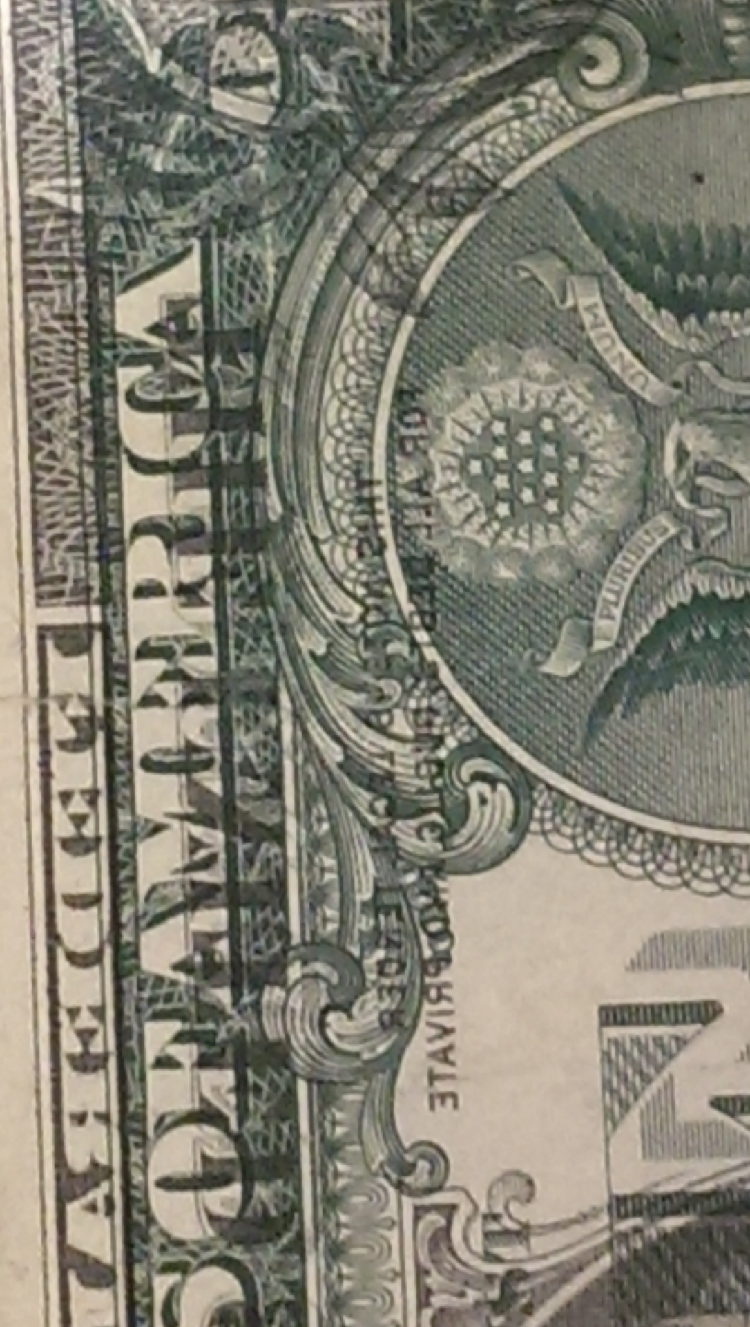 IMAG0312.jpg