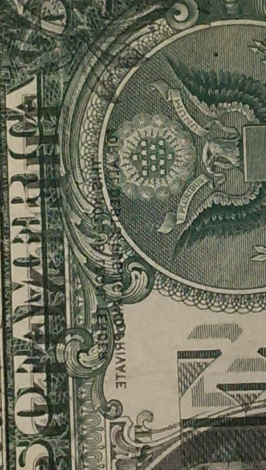IMAG0313.jpg