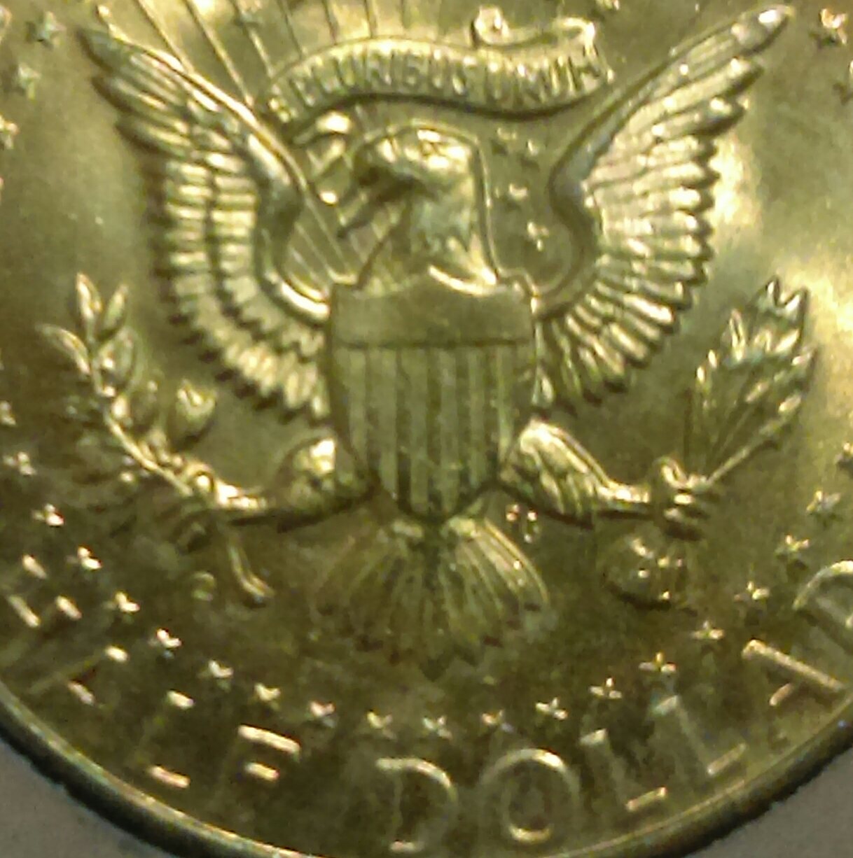 IMAG0336_1.jpg