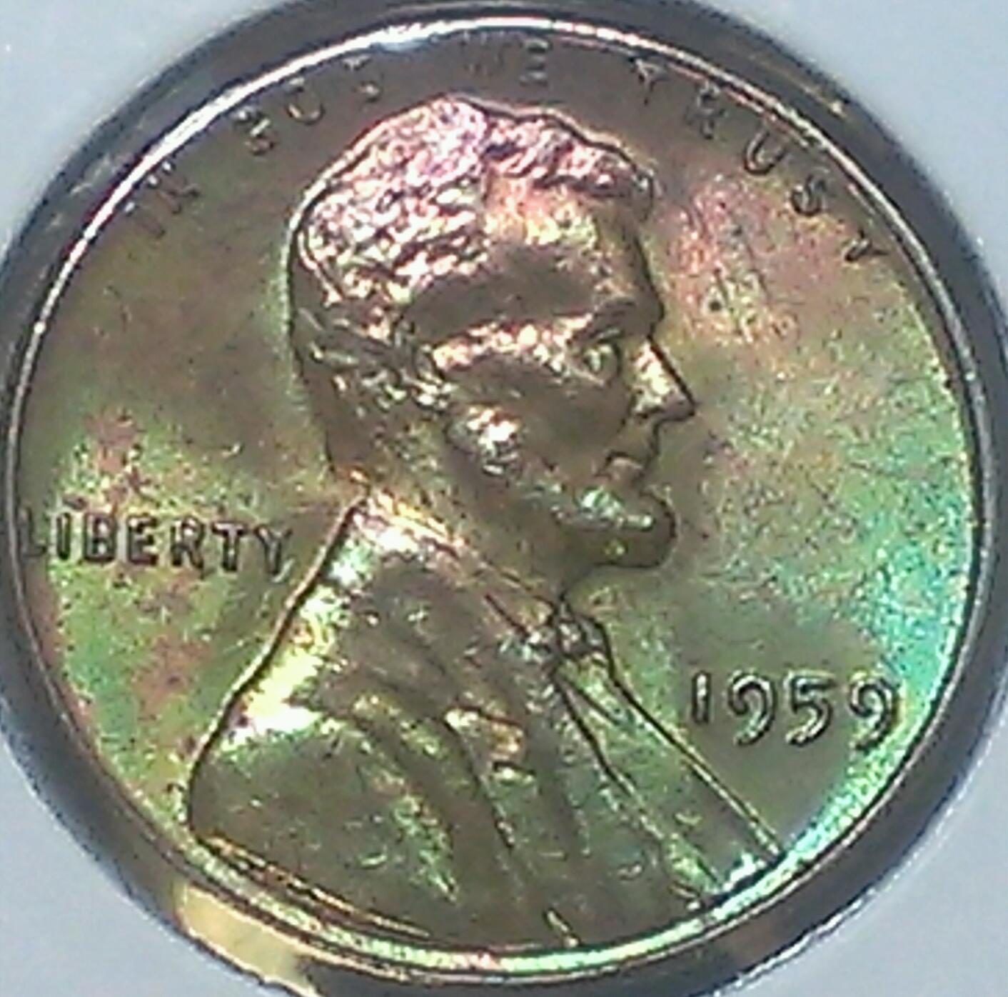 IMAG0339_1.jpg
