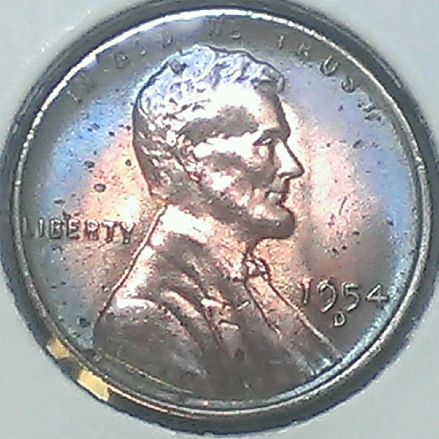 IMAG0341_1.jpg