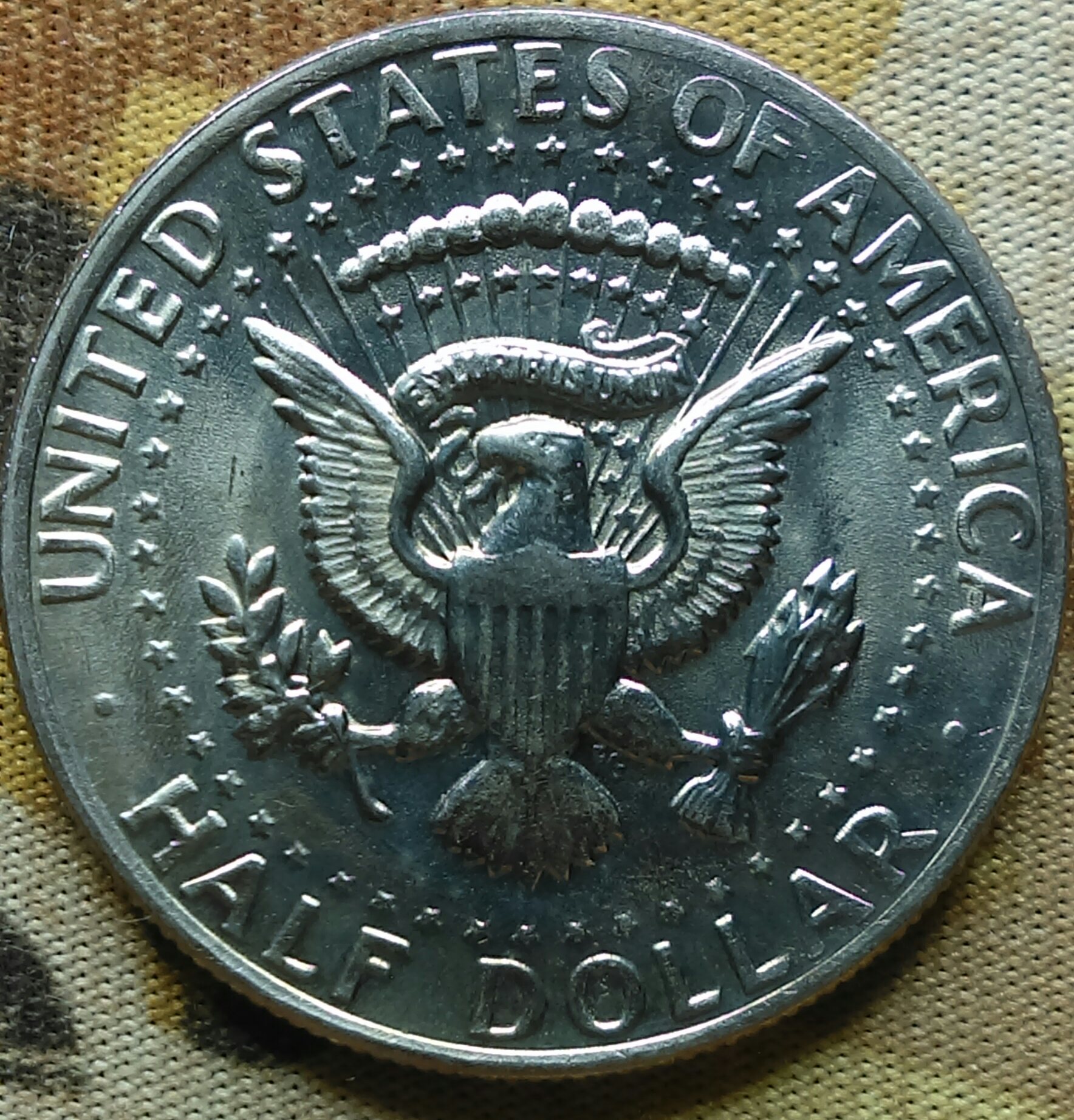 IMAG0341_1.jpg