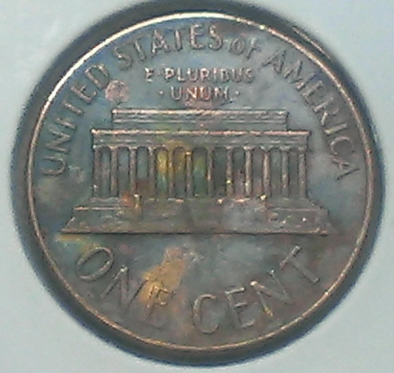 IMAG0350_1.jpg