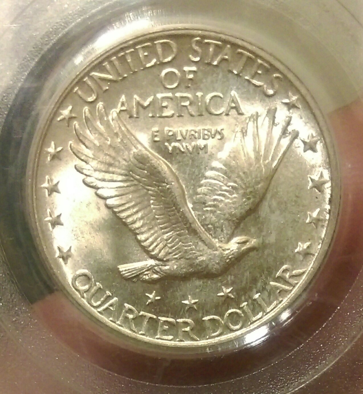 IMAG0356_1.jpg