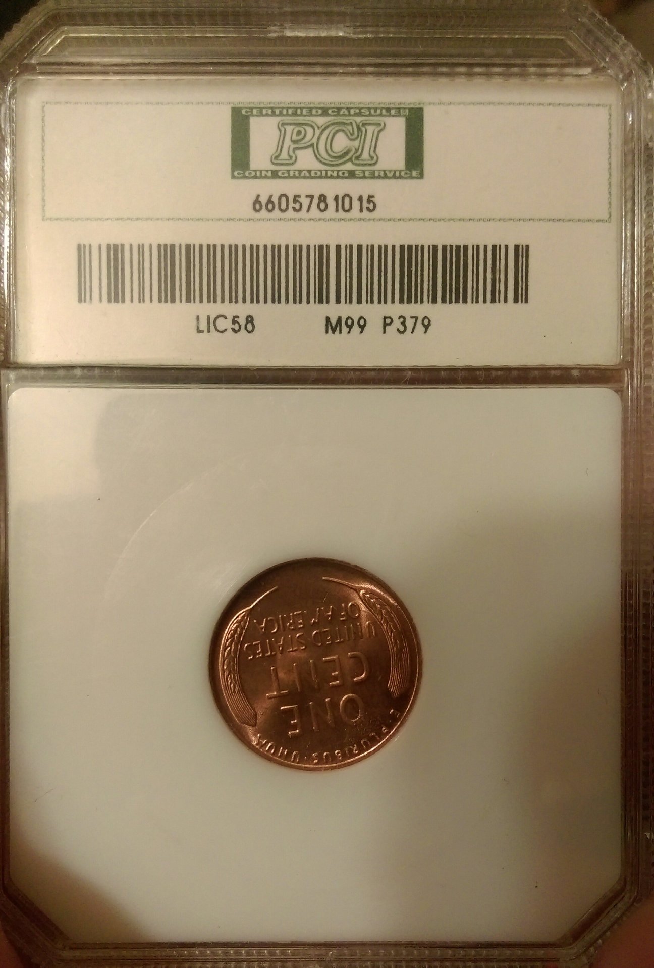 IMAG0386_1.jpg