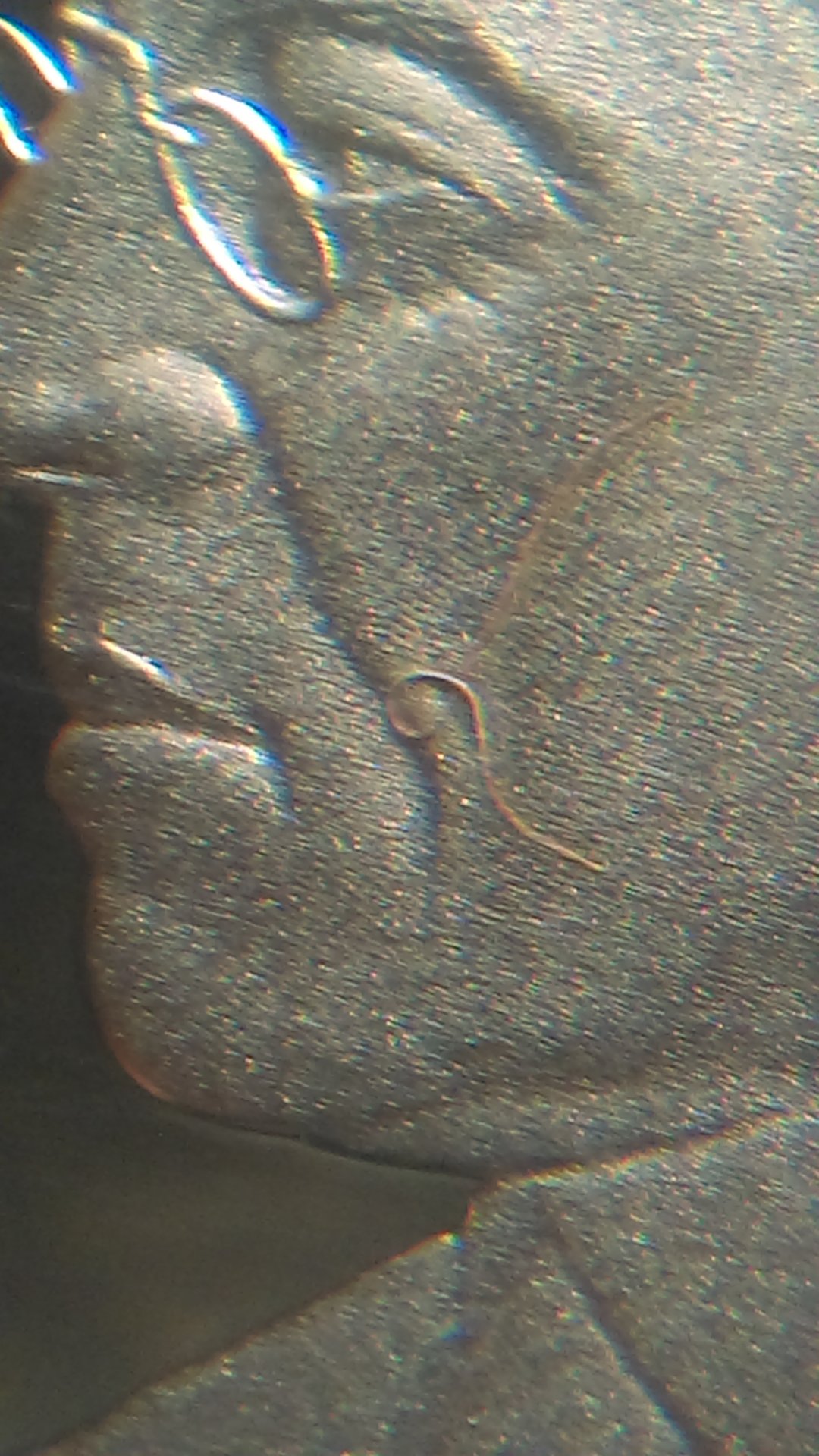 IMAG0409.jpg