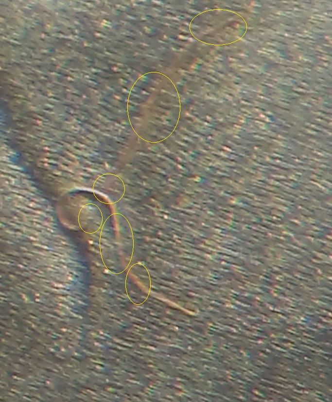 IMAG0409a.jpg