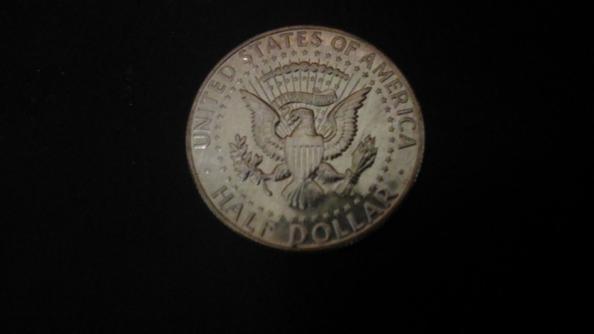 IMAG0421.jpg