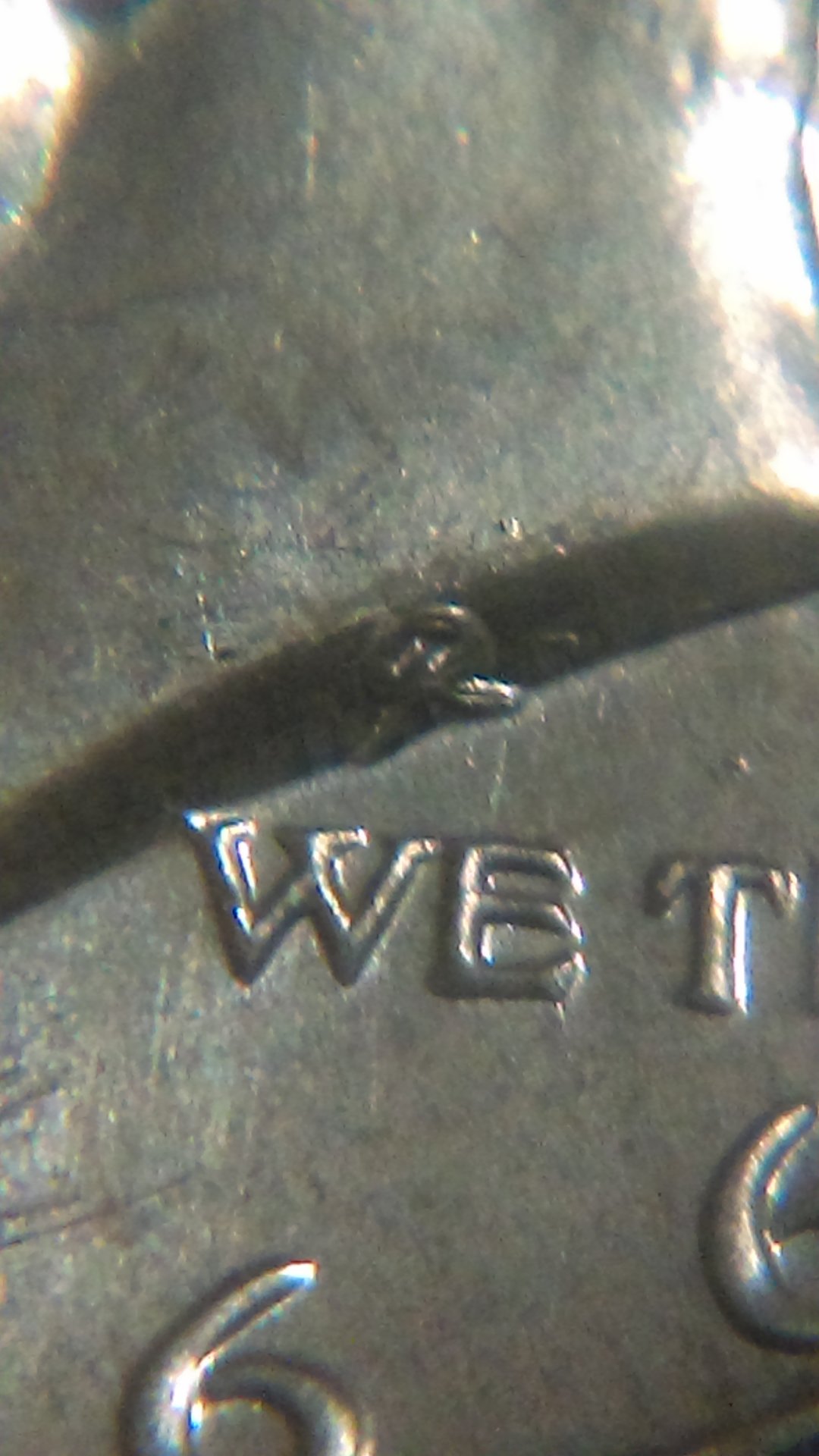 IMAG0429.jpg