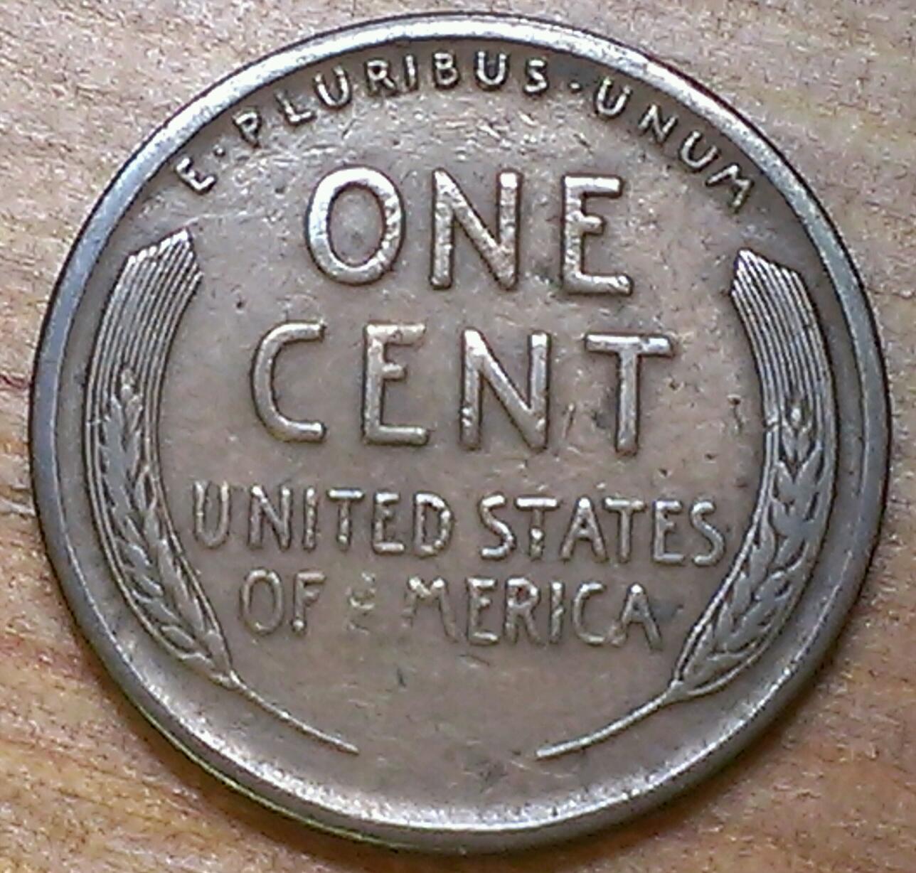 IMAG0435_1.jpg