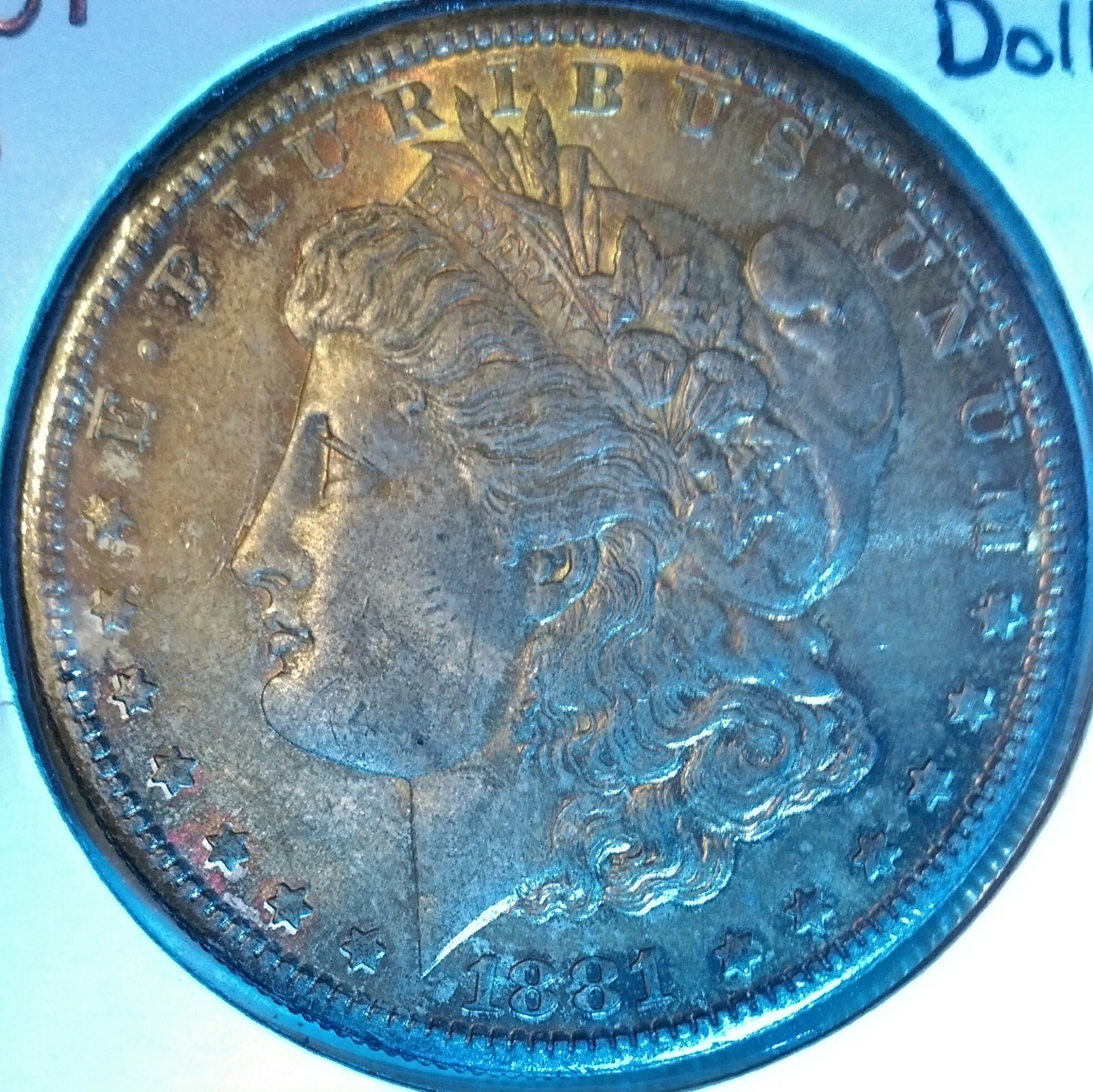 IMAG0437_1.jpg