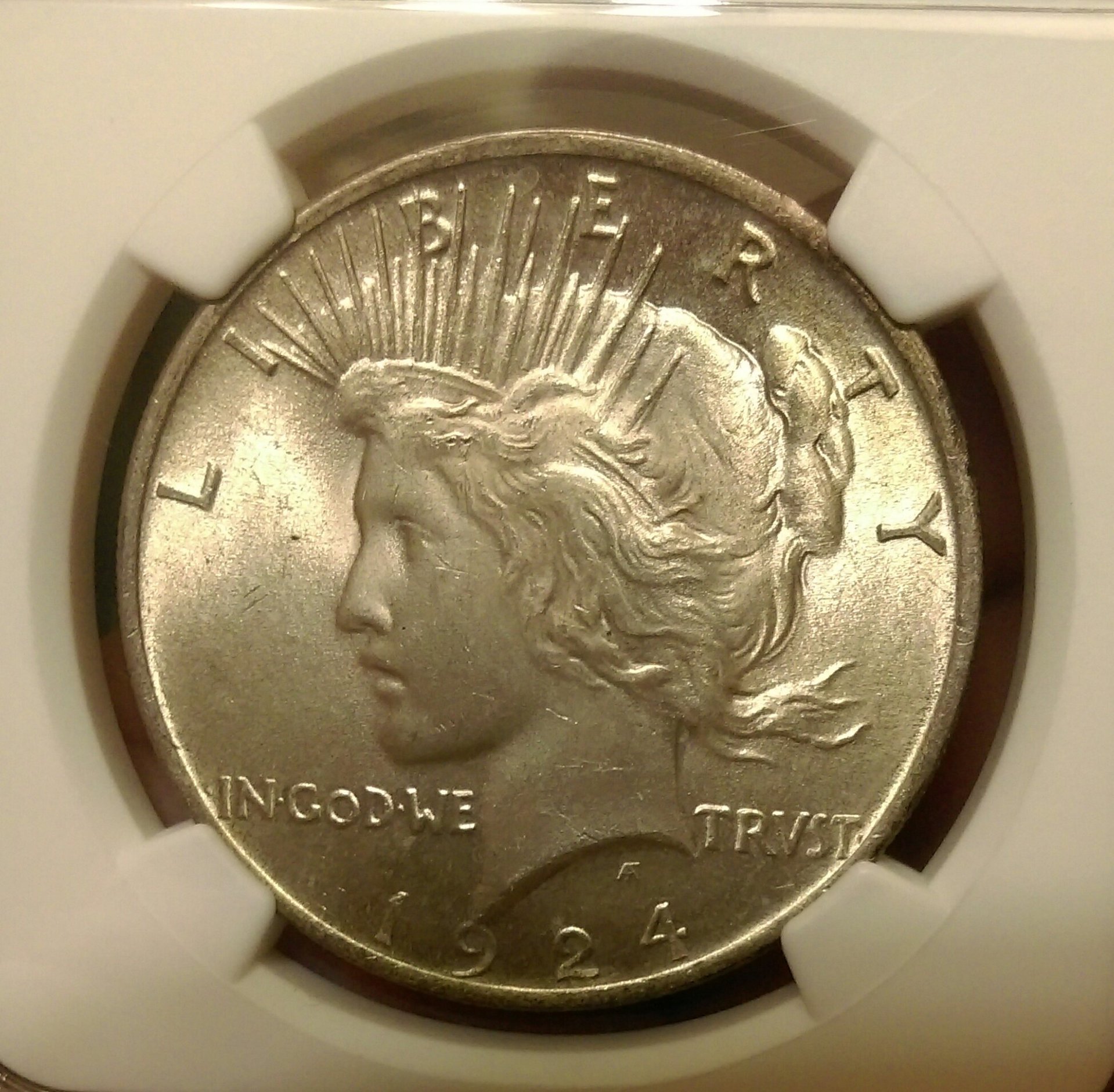 IMAG0464_1.jpg