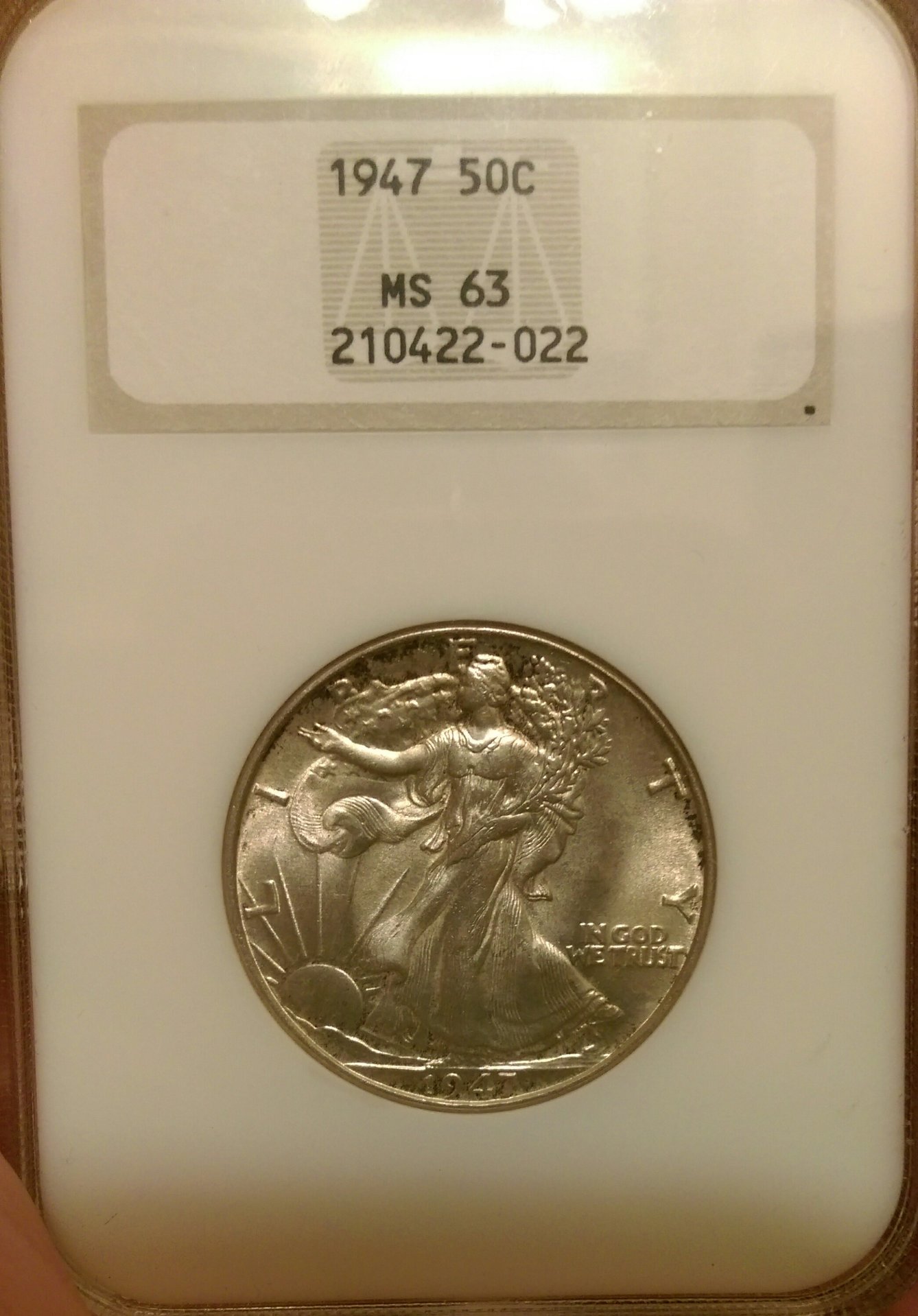IMAG0553_1.jpg