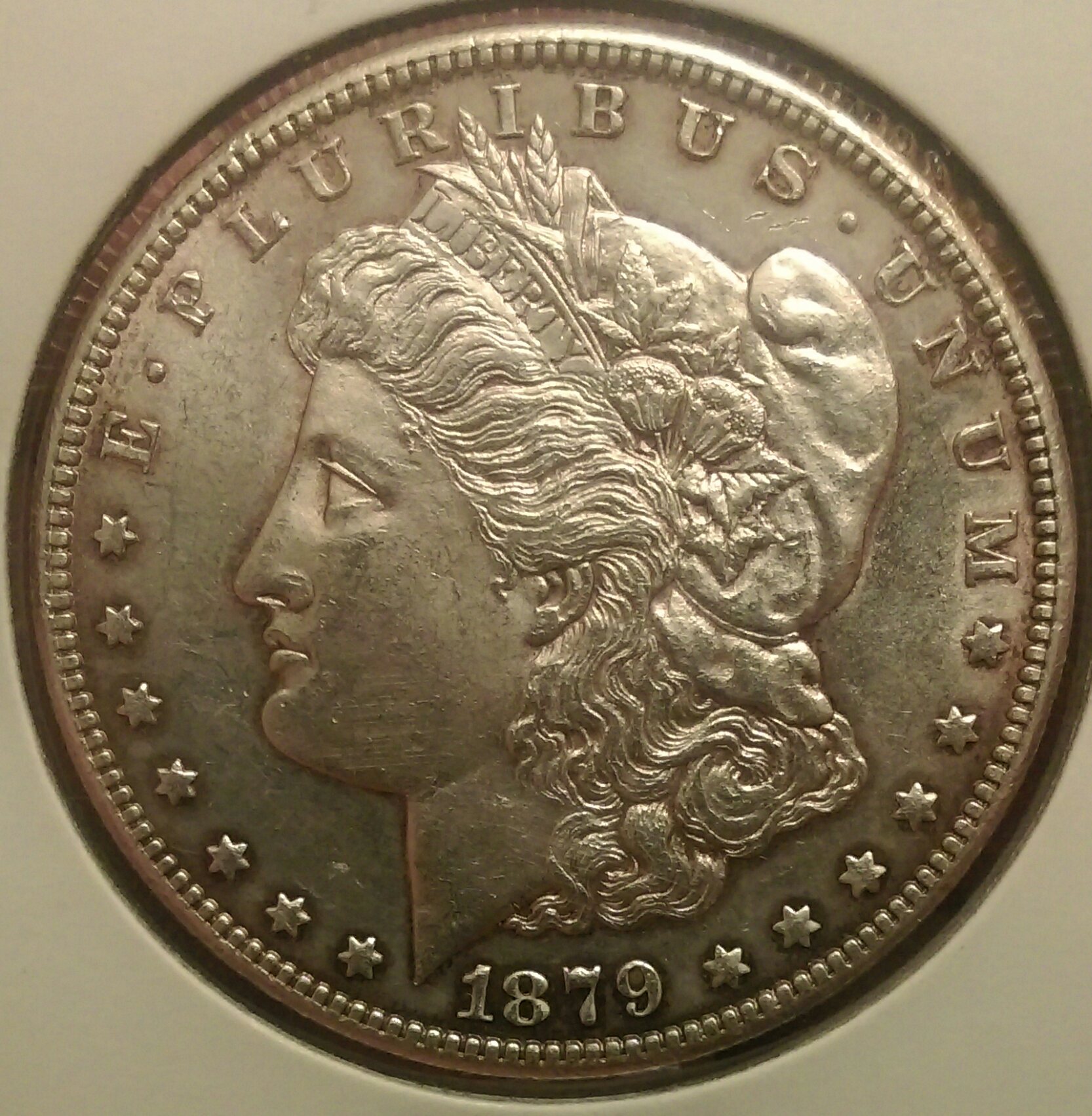 IMAG0580_1.jpg