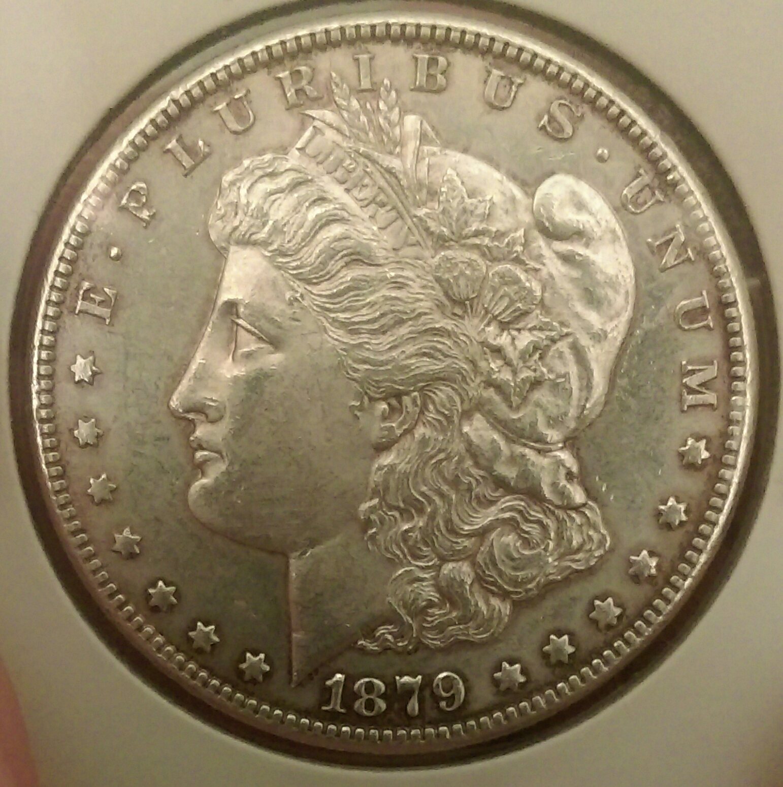 IMAG0587_1.jpg