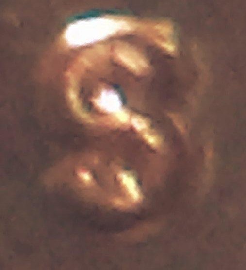 IMAG0684951.jpg