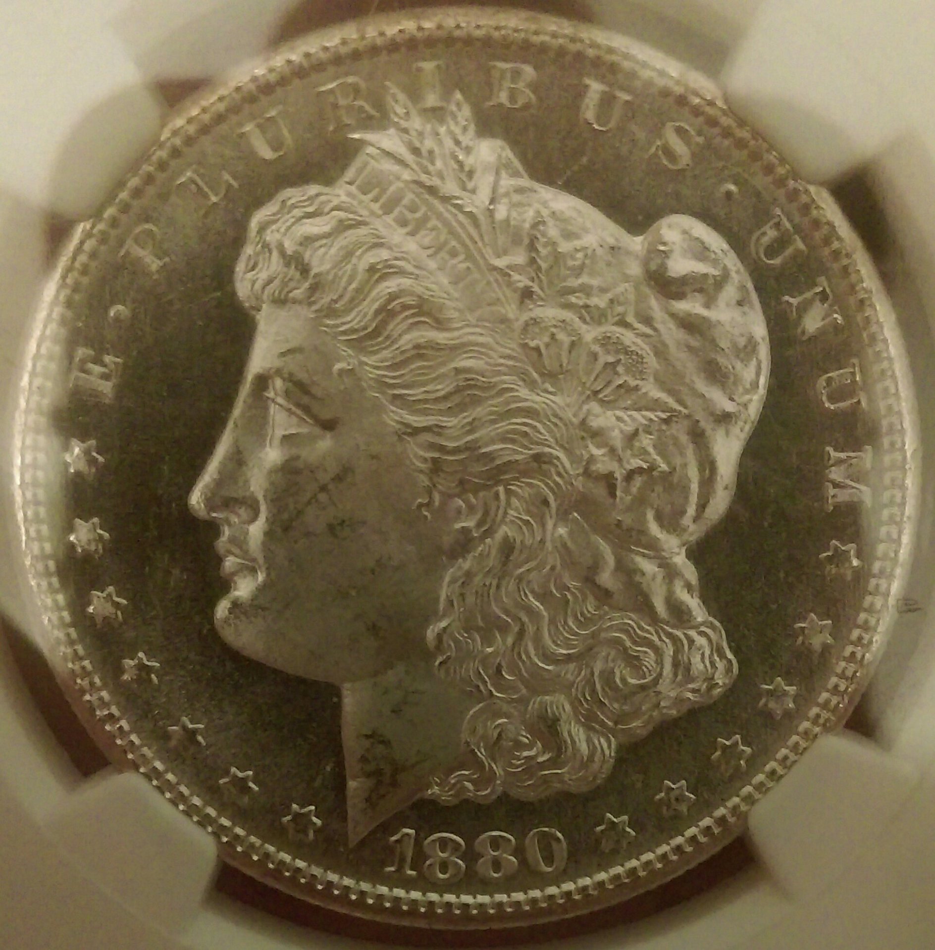 IMAG0697_1.jpg