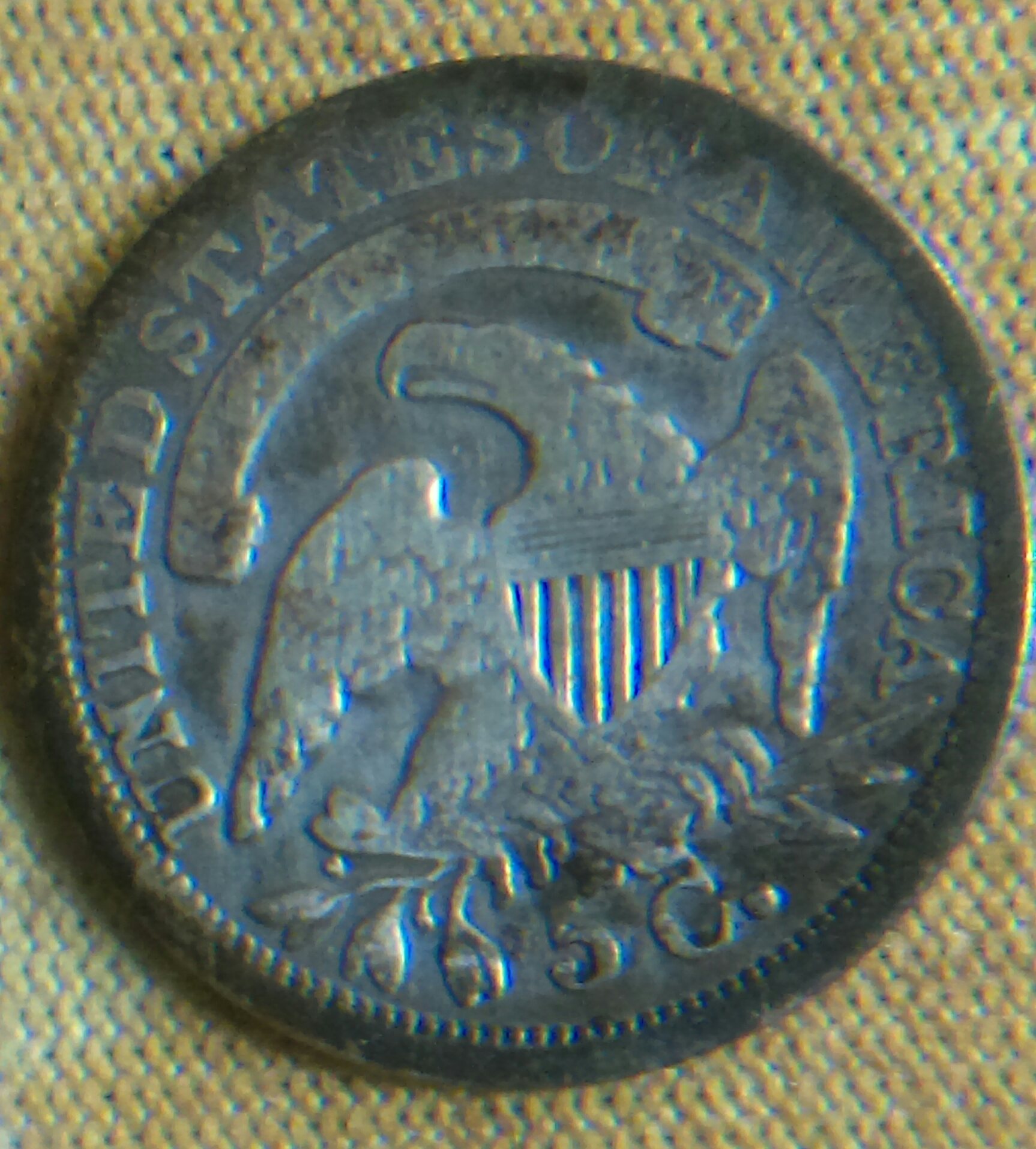 IMAG0712_1.jpg