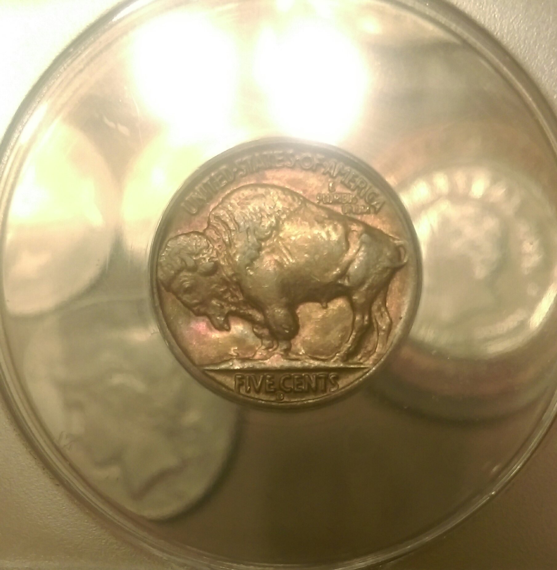 IMAG0729_1.jpg
