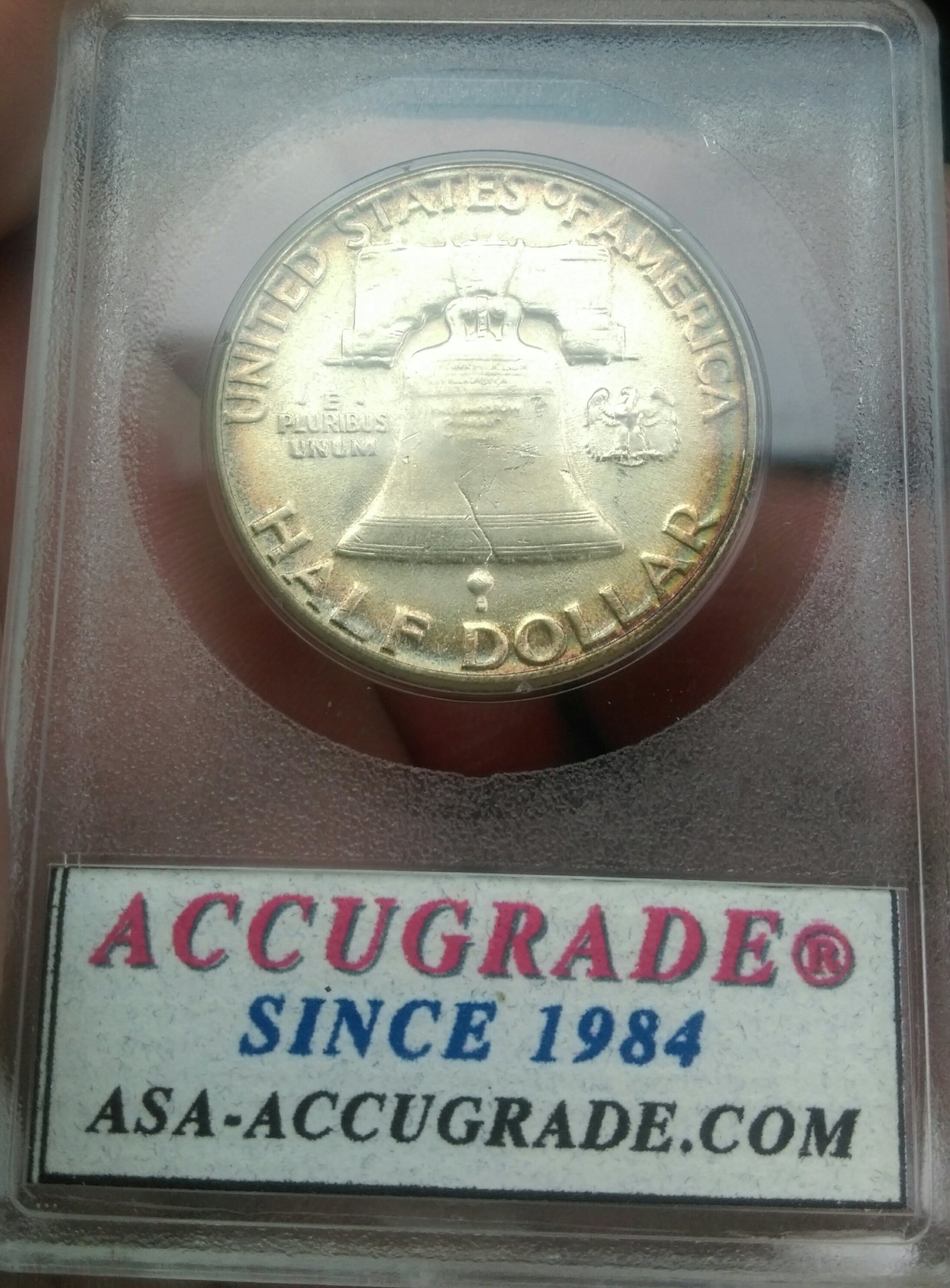 IMAG0767_1.jpg