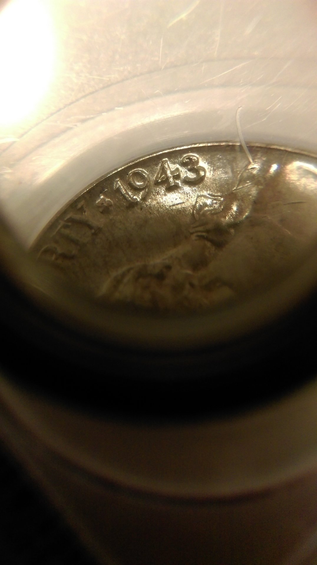 IMAG0879.jpg