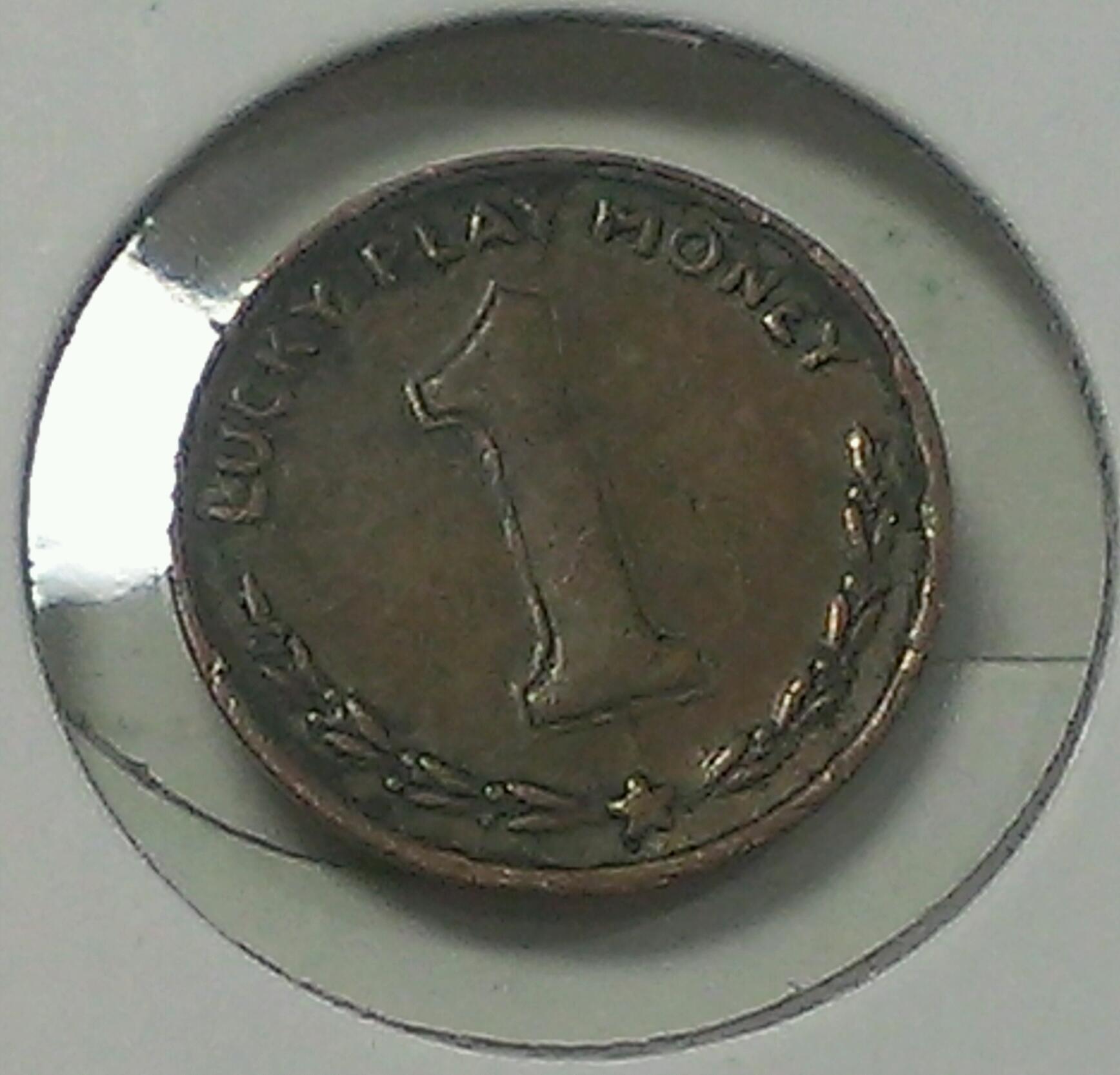 IMAG0922_1.jpg