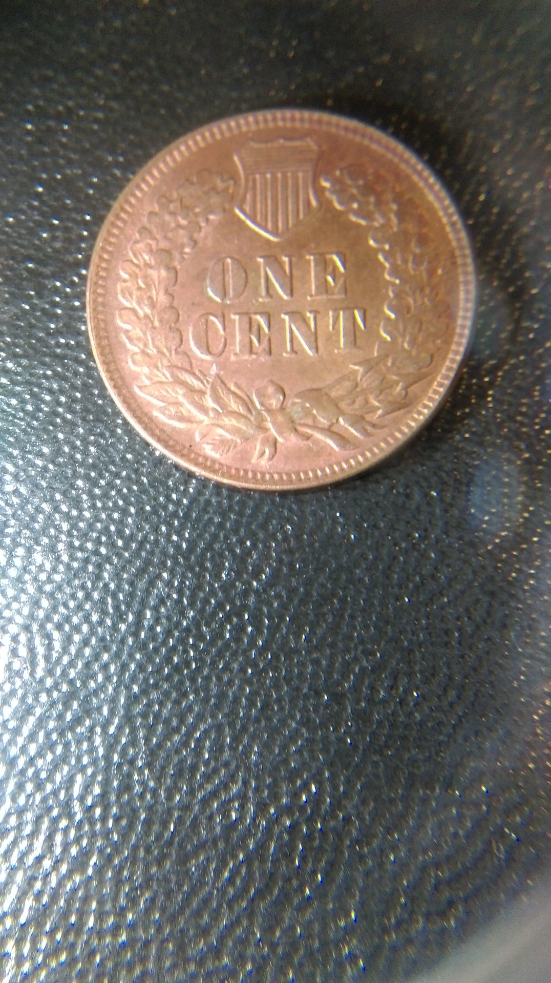 IMAG0944.jpg