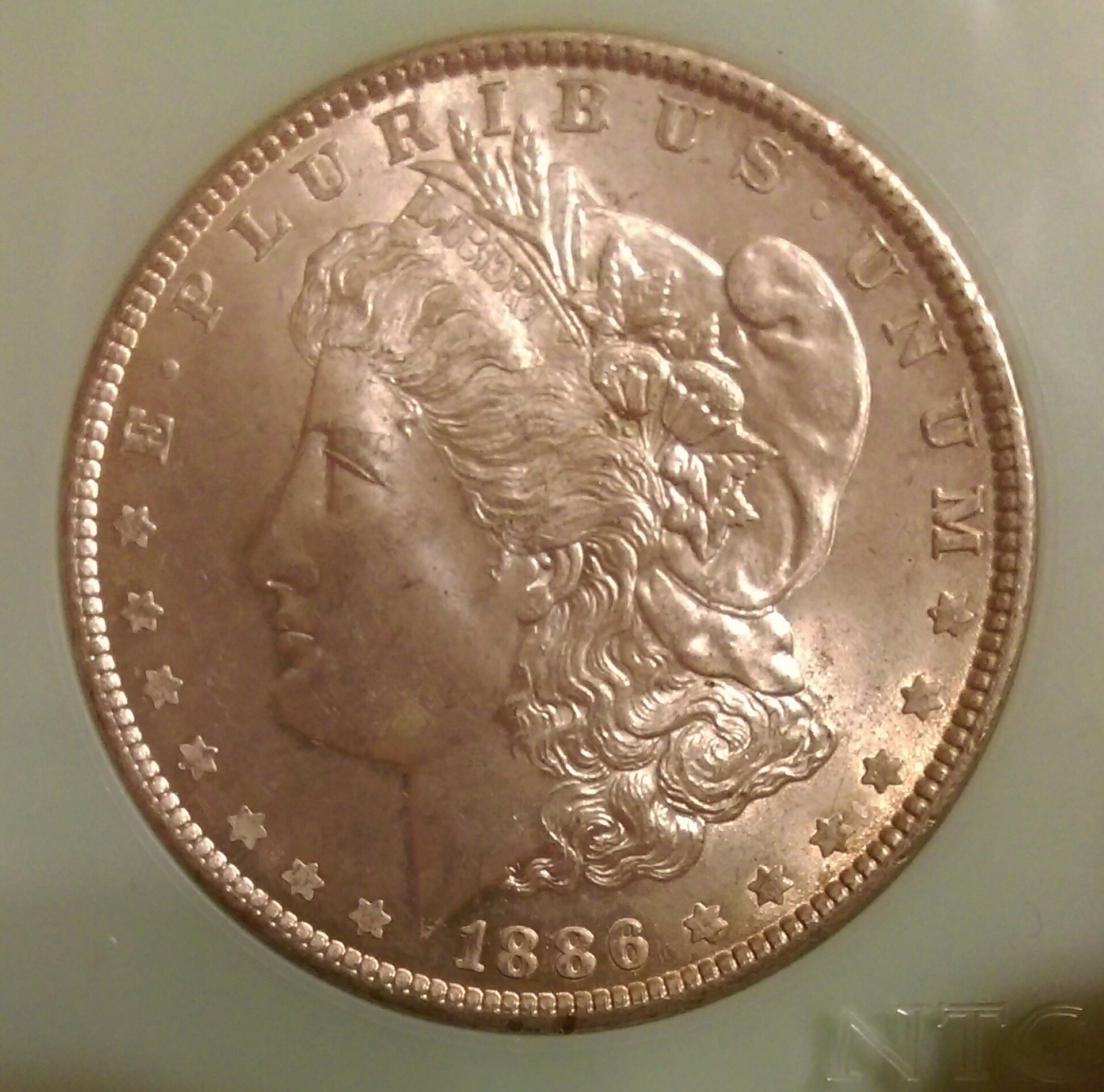 IMAG0961_1.jpg