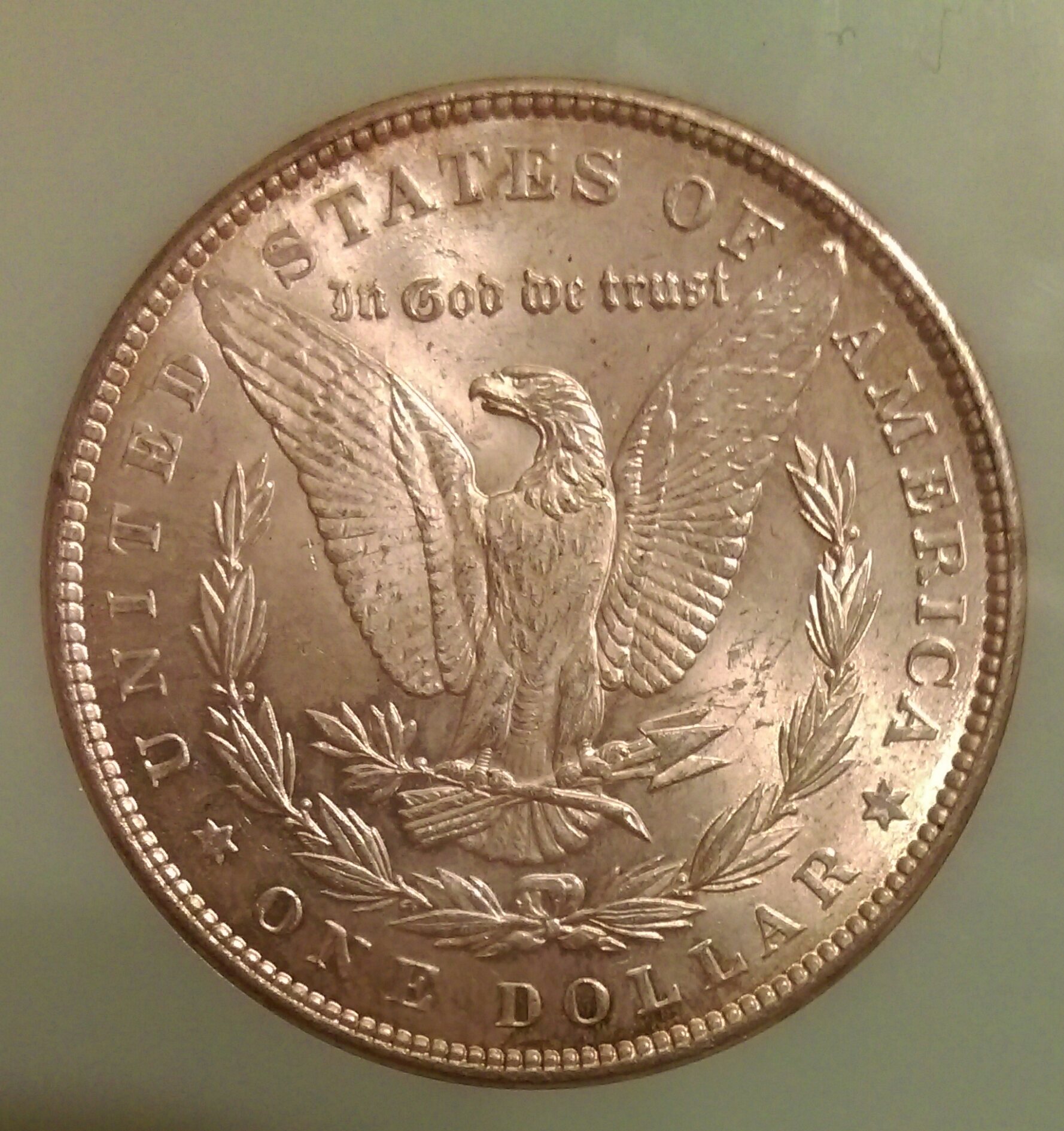 poll coin