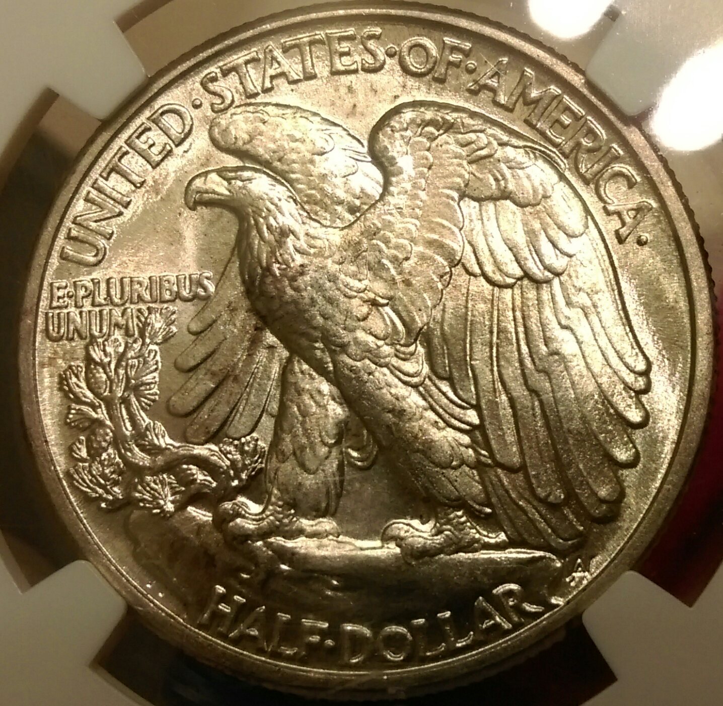 IMAG0982_1.jpg