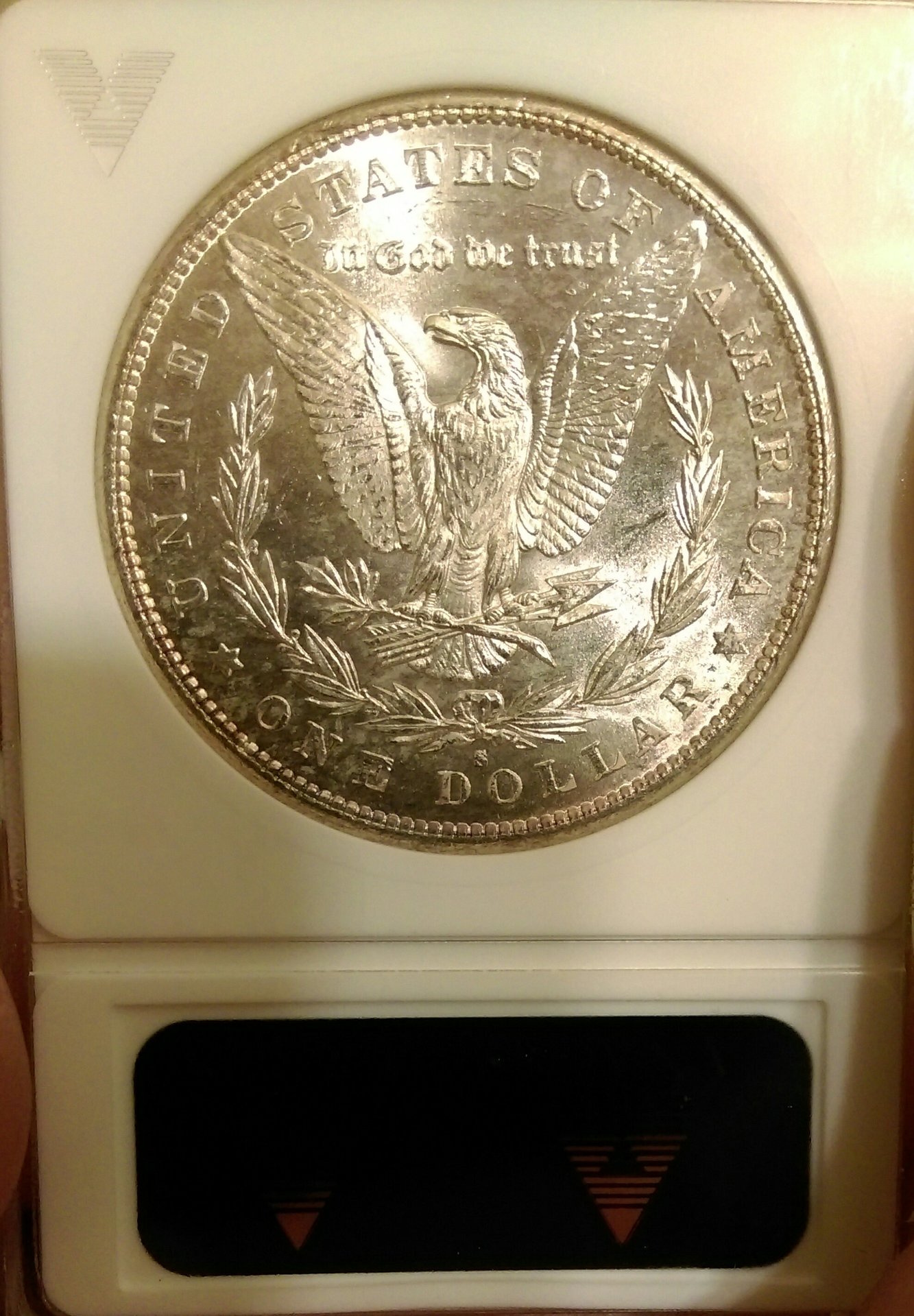 IMAG0997_1.jpg
