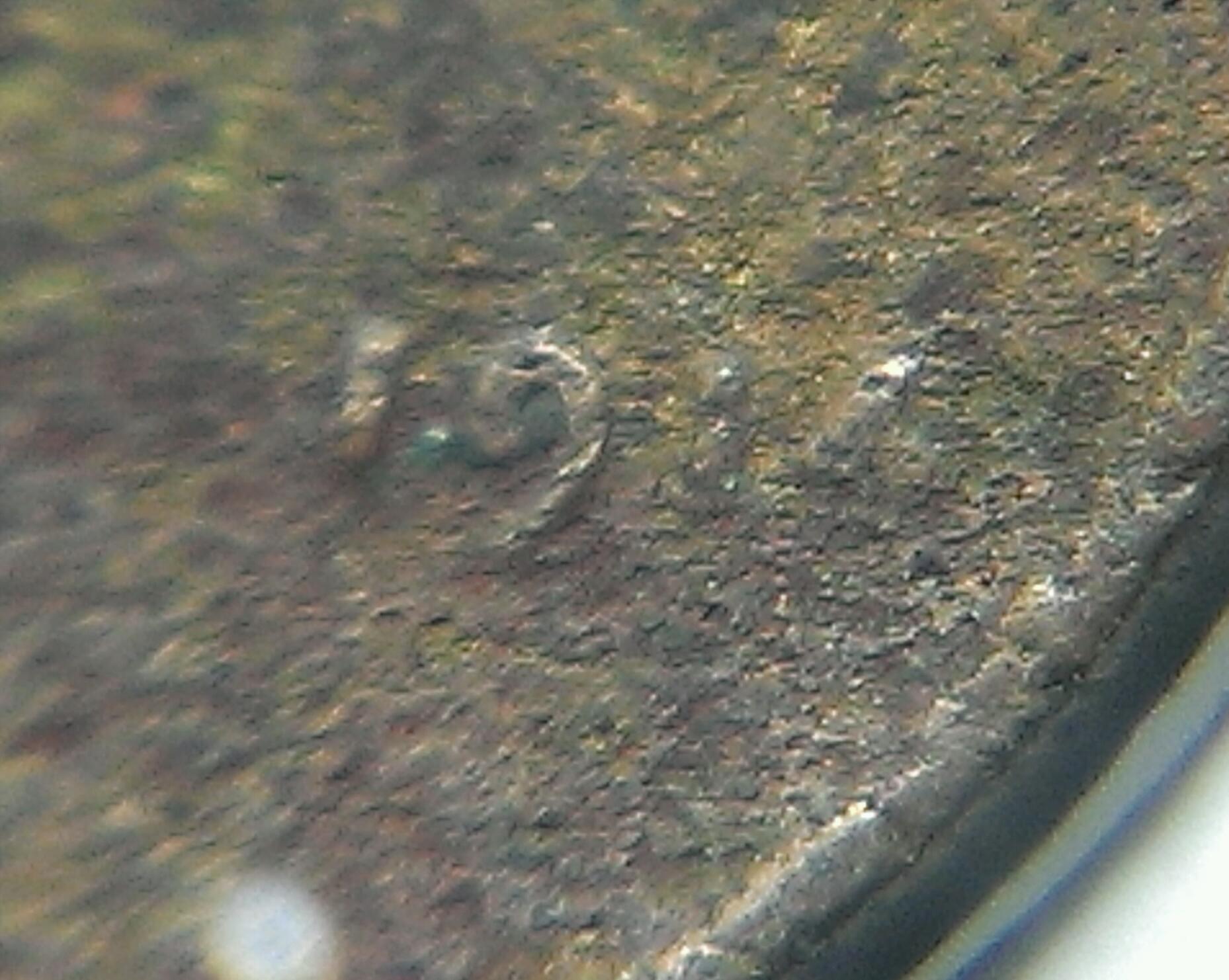 IMAG1002_1.jpg