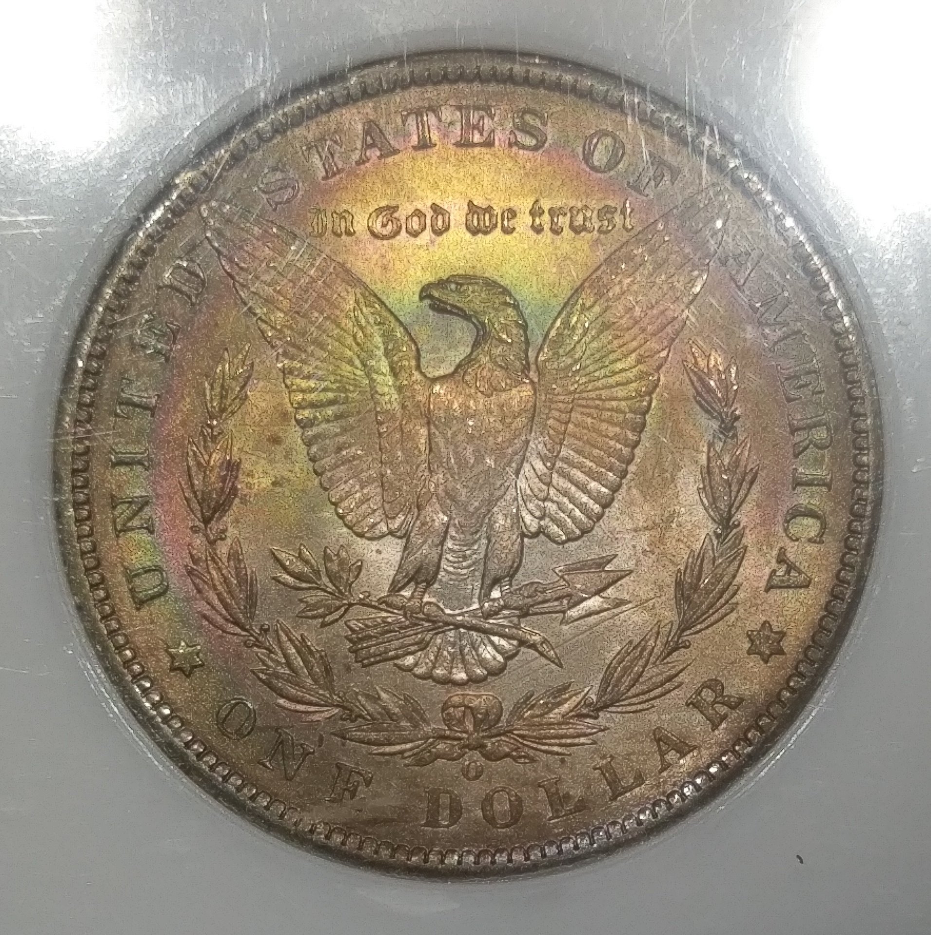 IMAG1045.jpg