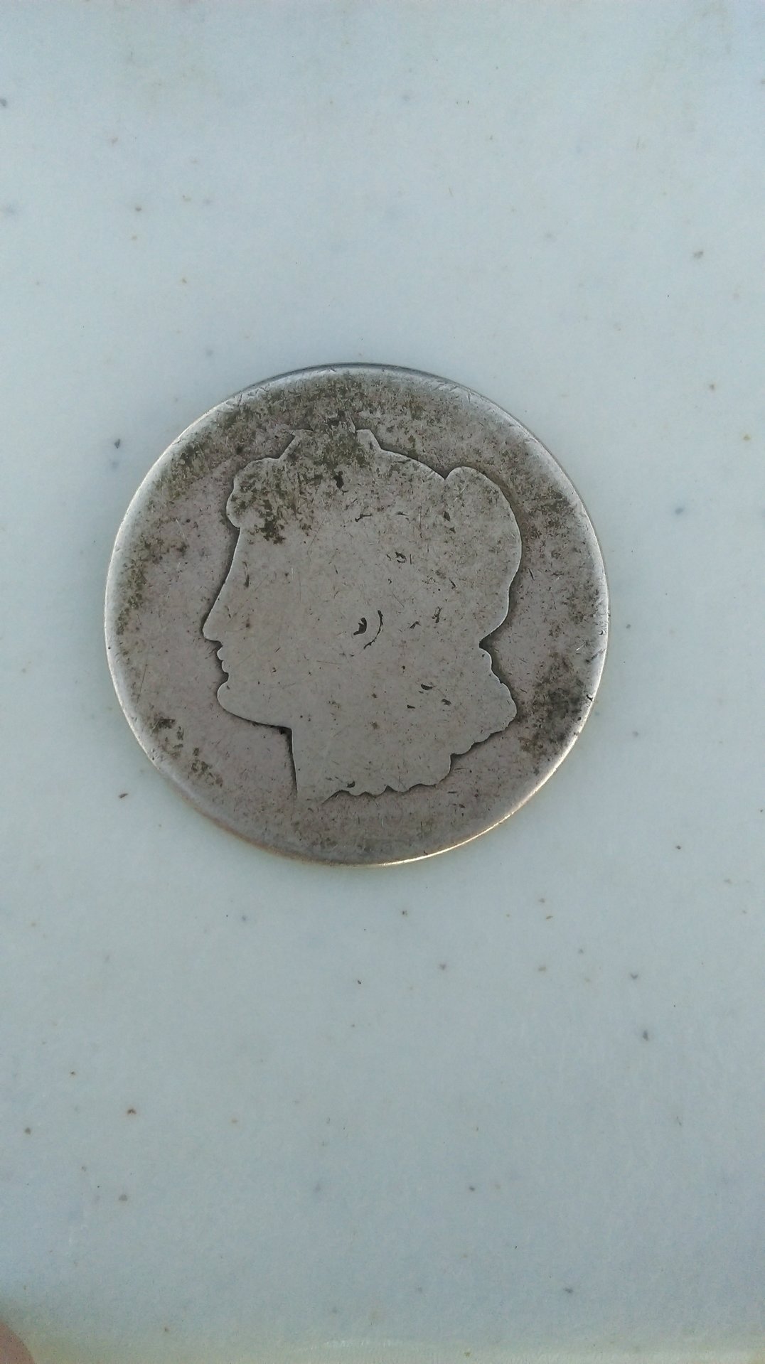 IMAG1254.jpg