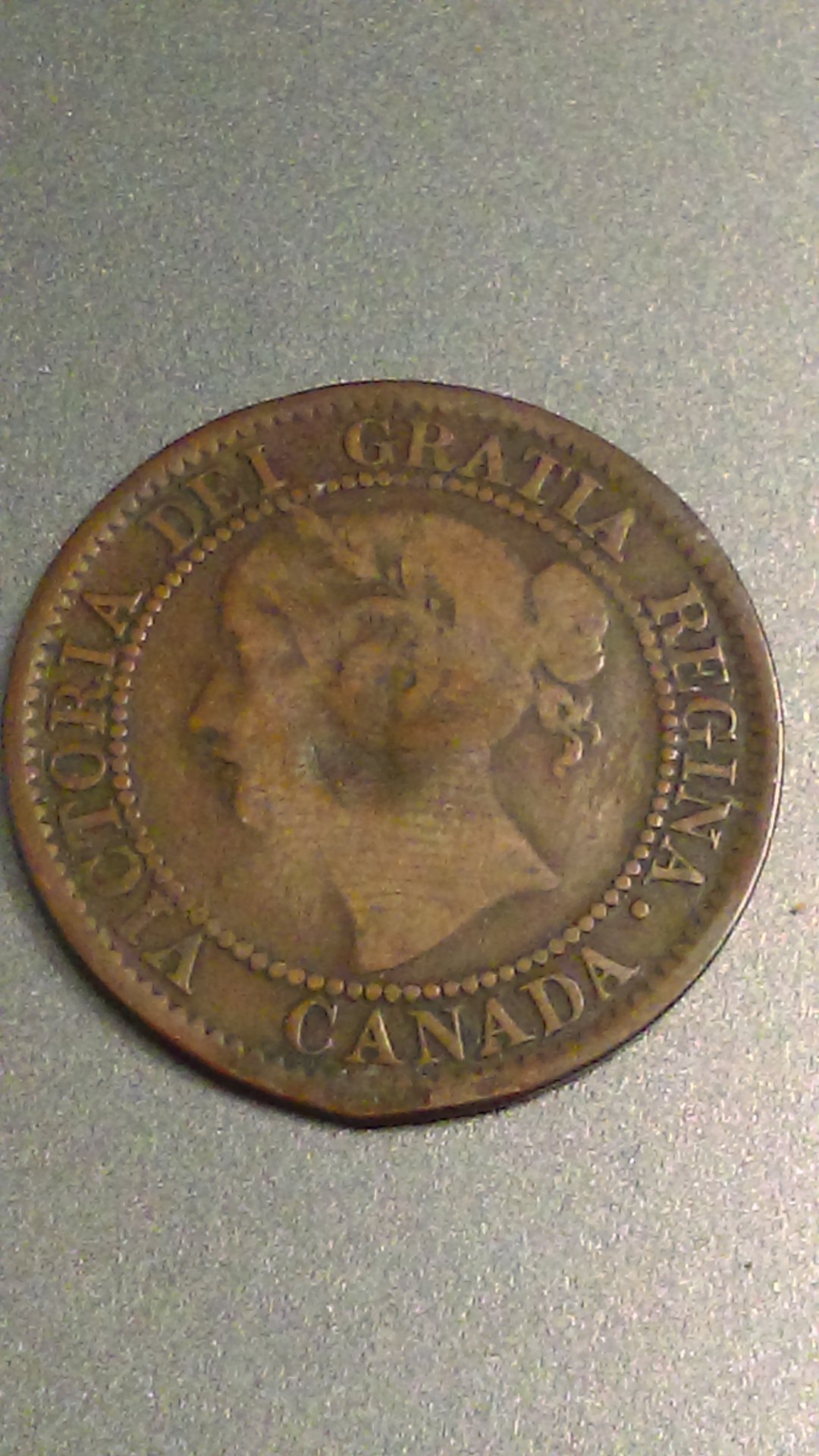 IMAG1305.jpg