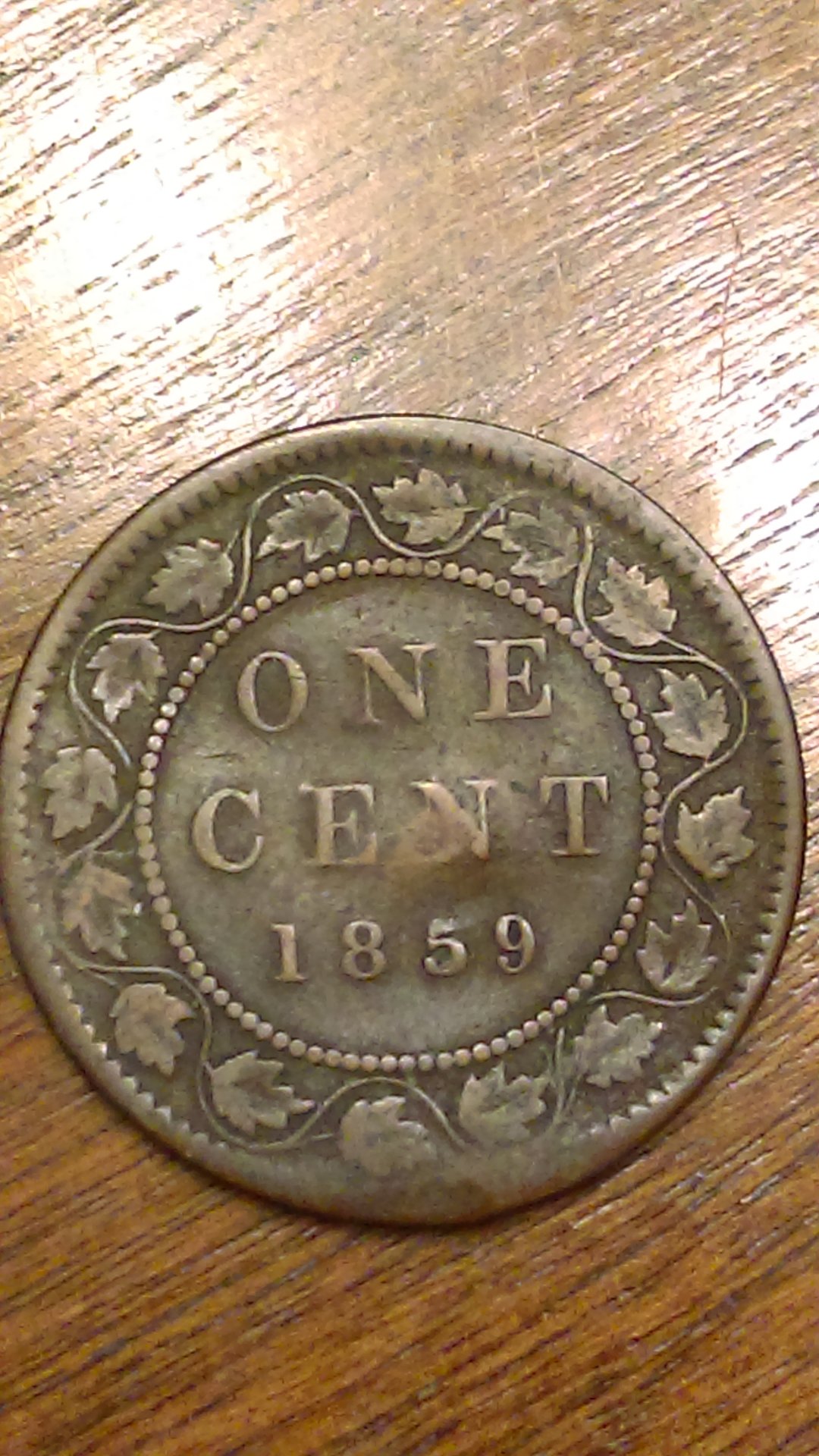 IMAG1306.jpg